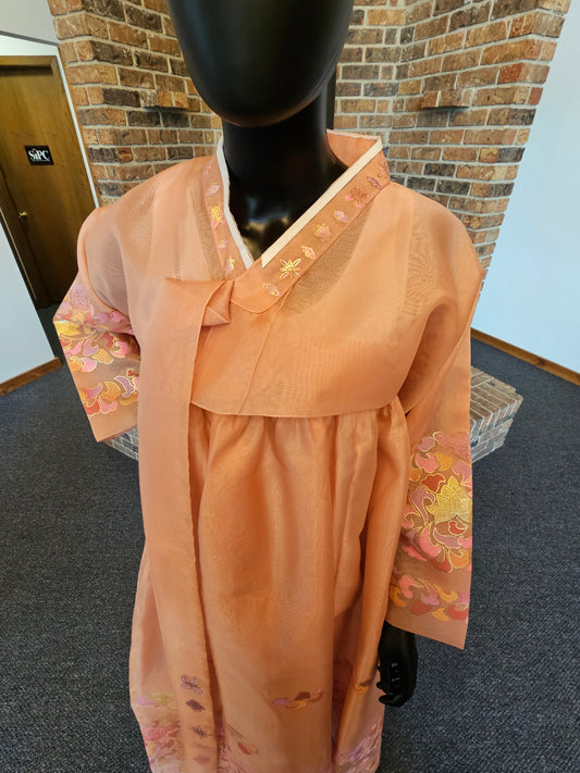 Peach Hanfu Dress Hand Painted Gold