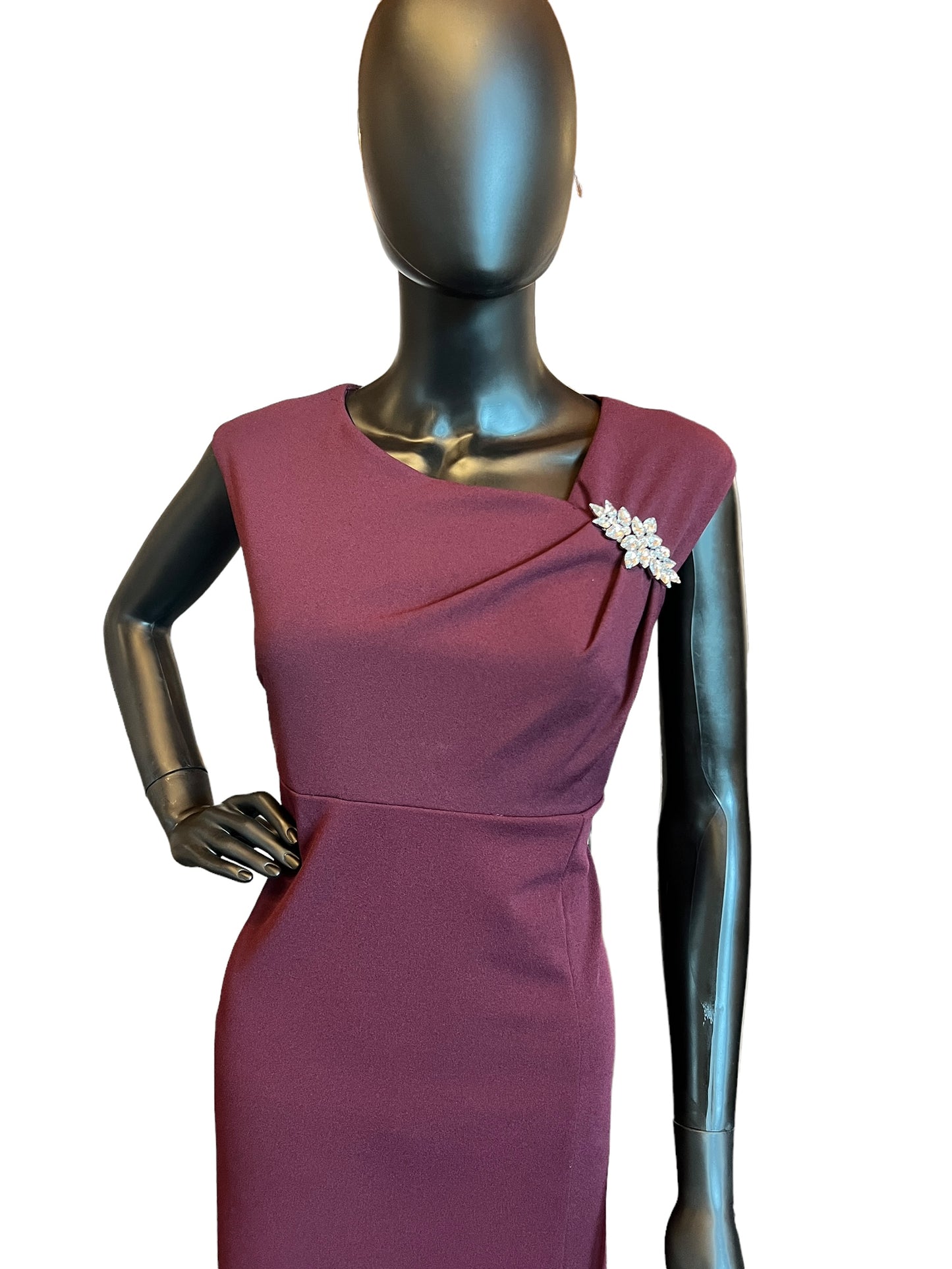 Plum Long Formal Sheath Gown W/Diamond Brooch and Cap Sleeve