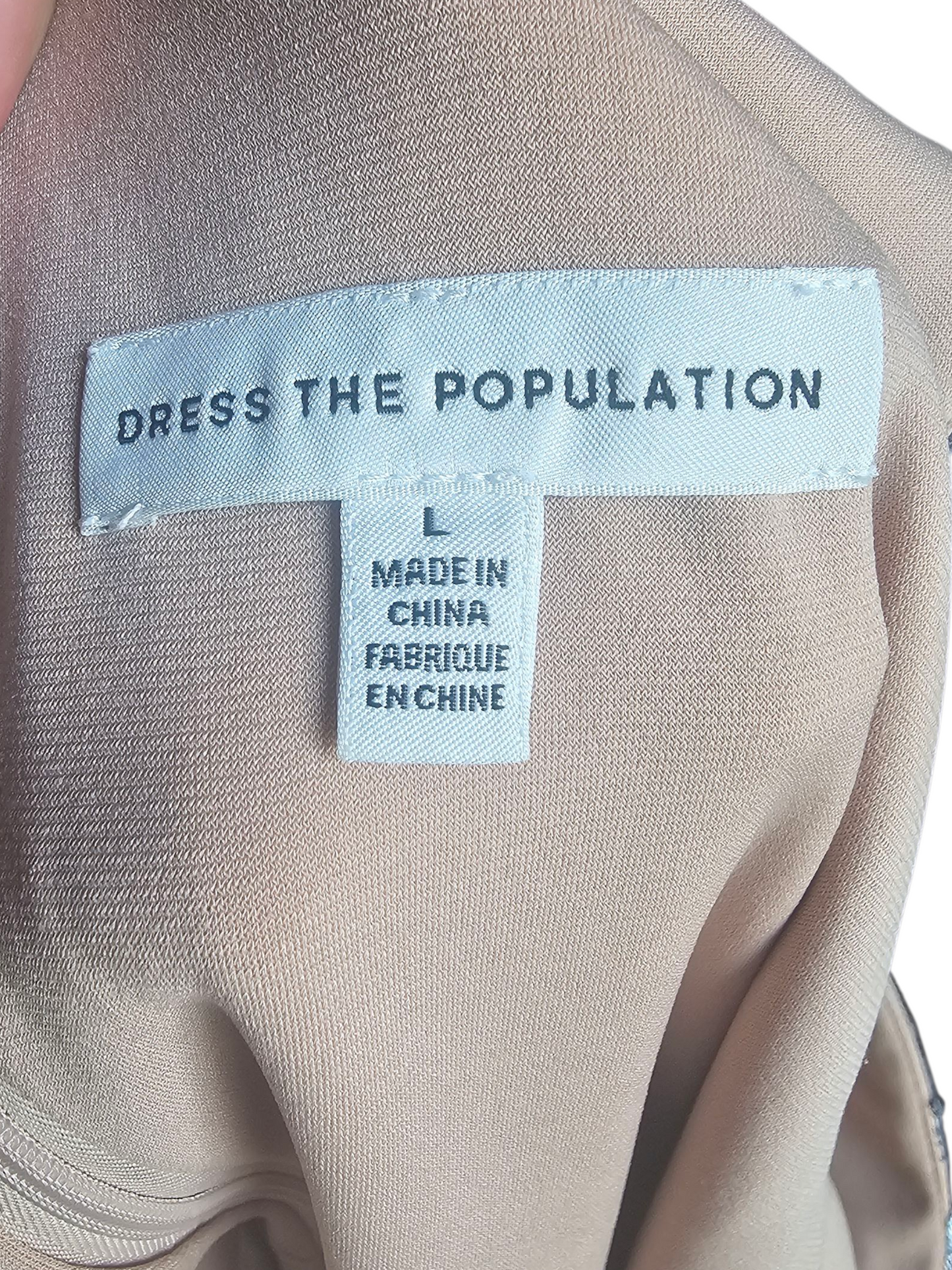 Blue/Pink/Nude 3D Floral Party Dress - Dress the Population