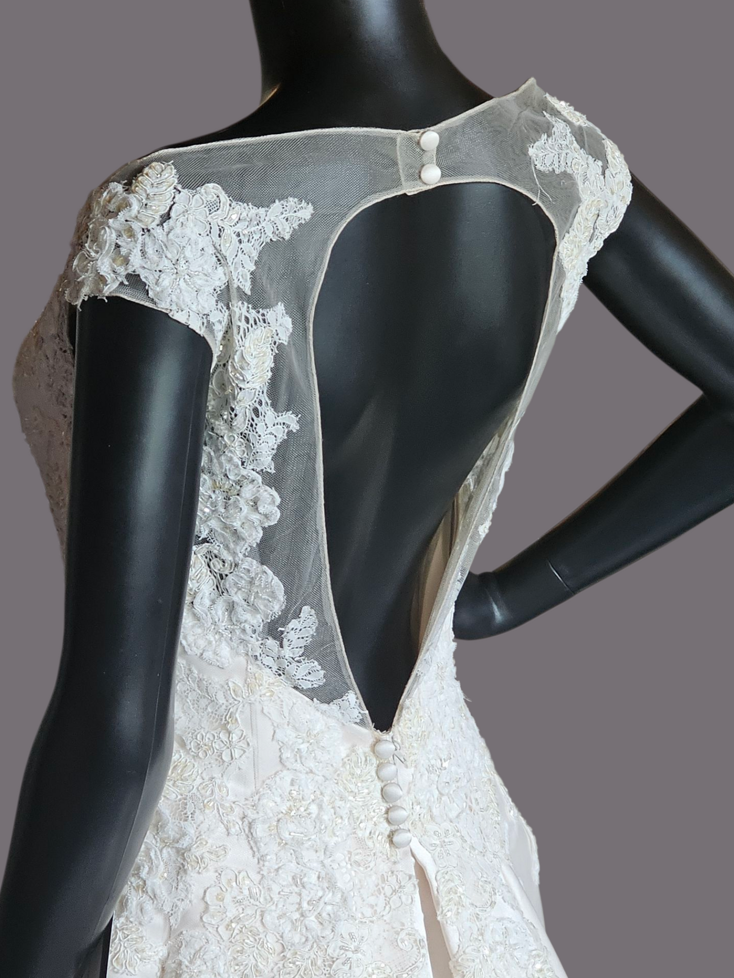 Champagne Satin Lace Illusion Plunge Bodice Open Back - Beloved