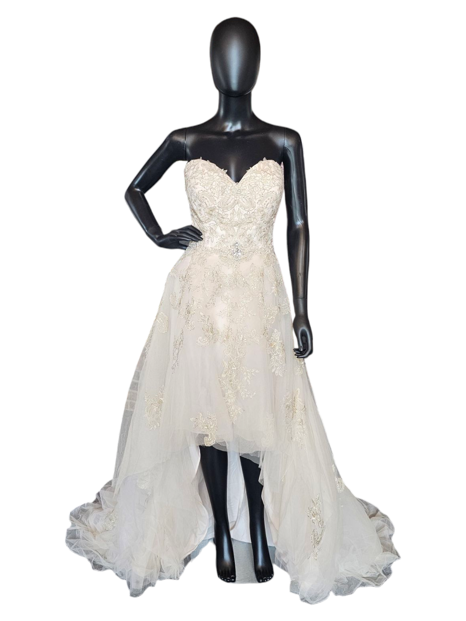 Champagne/Gold Embroidered High/Low Wedding Gown