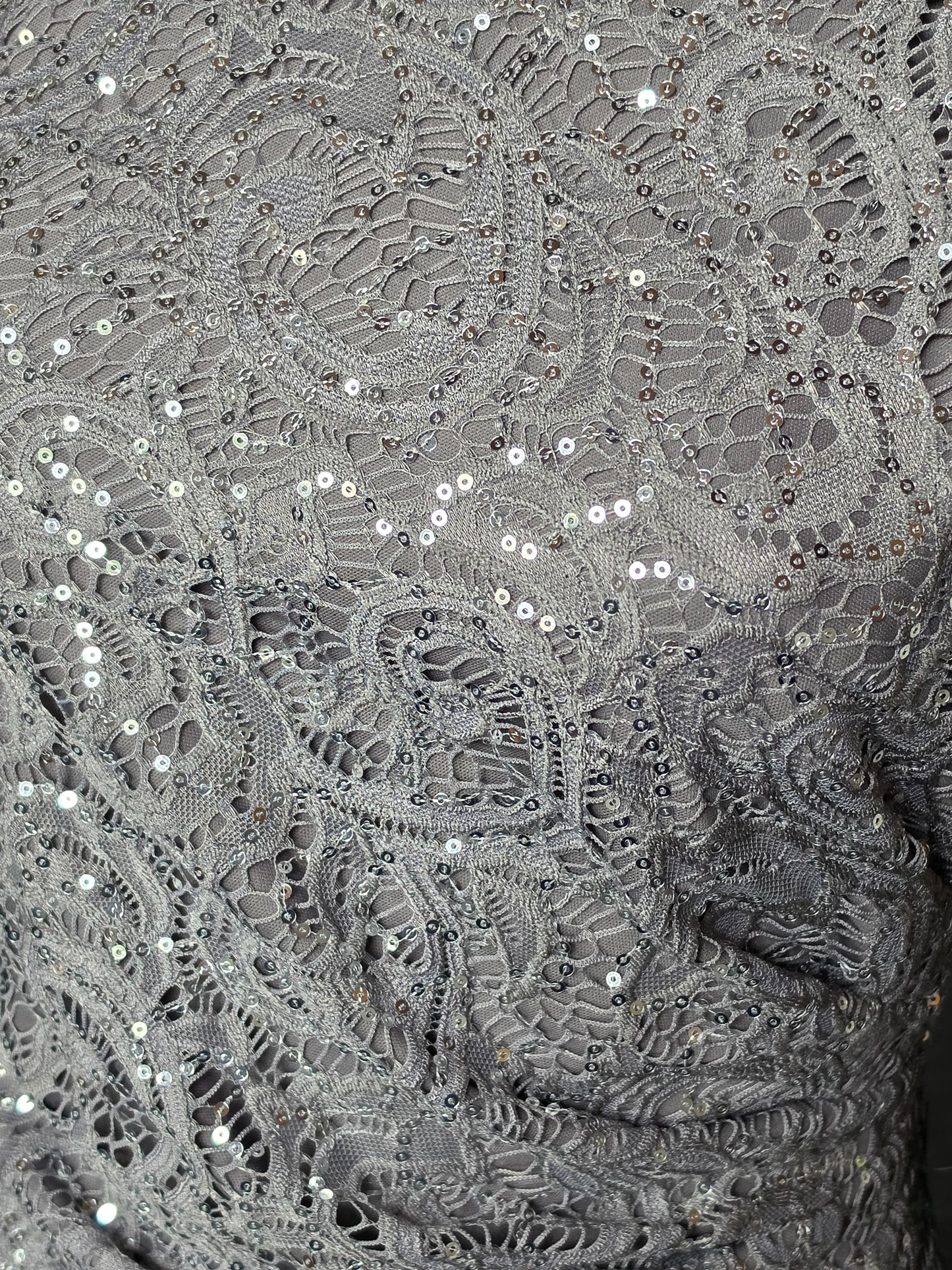 Pewter Sparkle Fit/Flare High Scoop Stretch Lace Side Ruched Slit Moms/Formal Dress - Alex Evenings