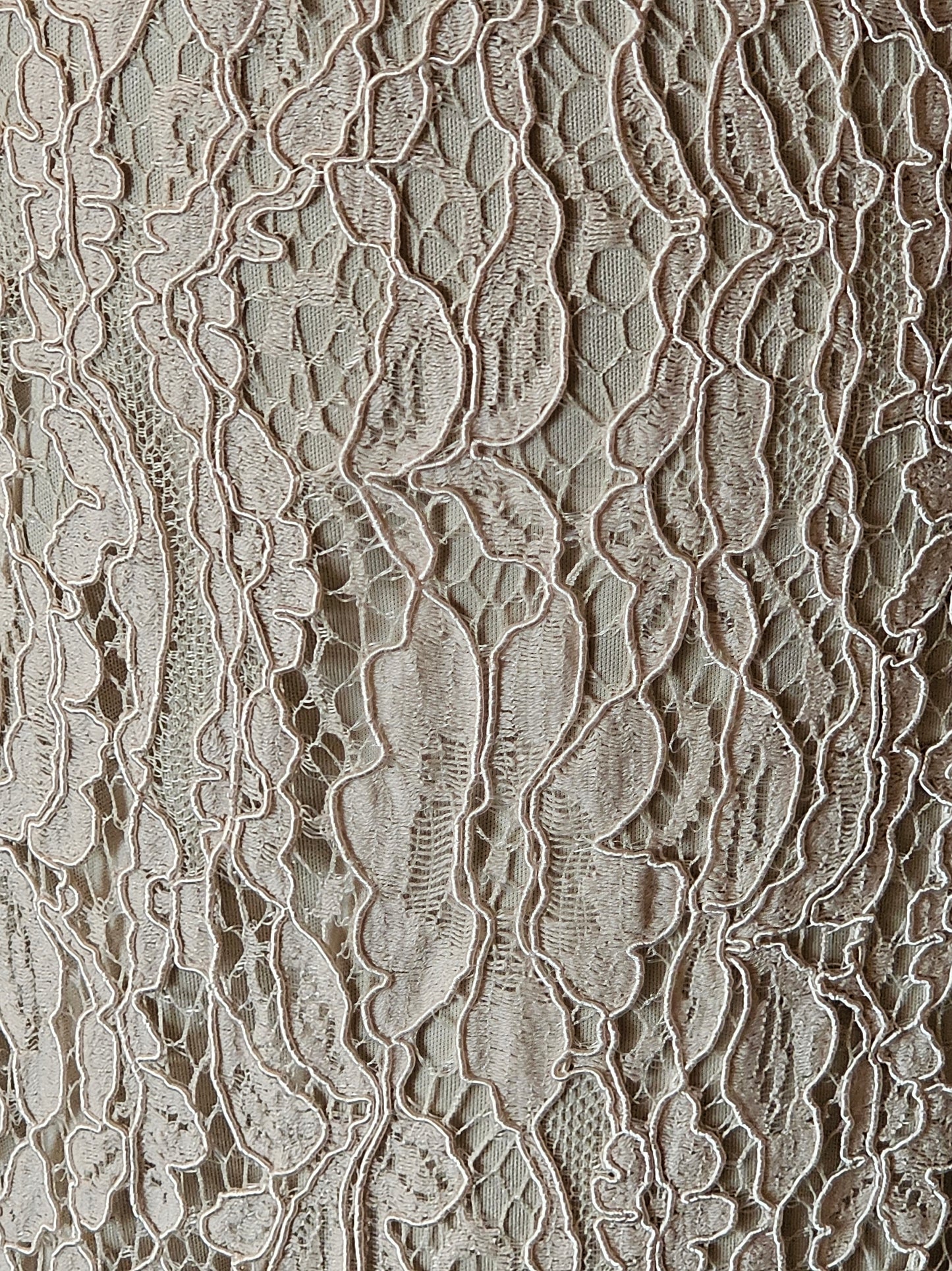 Cashmere Lace Flutter Sleeve Full Length Formal Gown - Hayley Paige