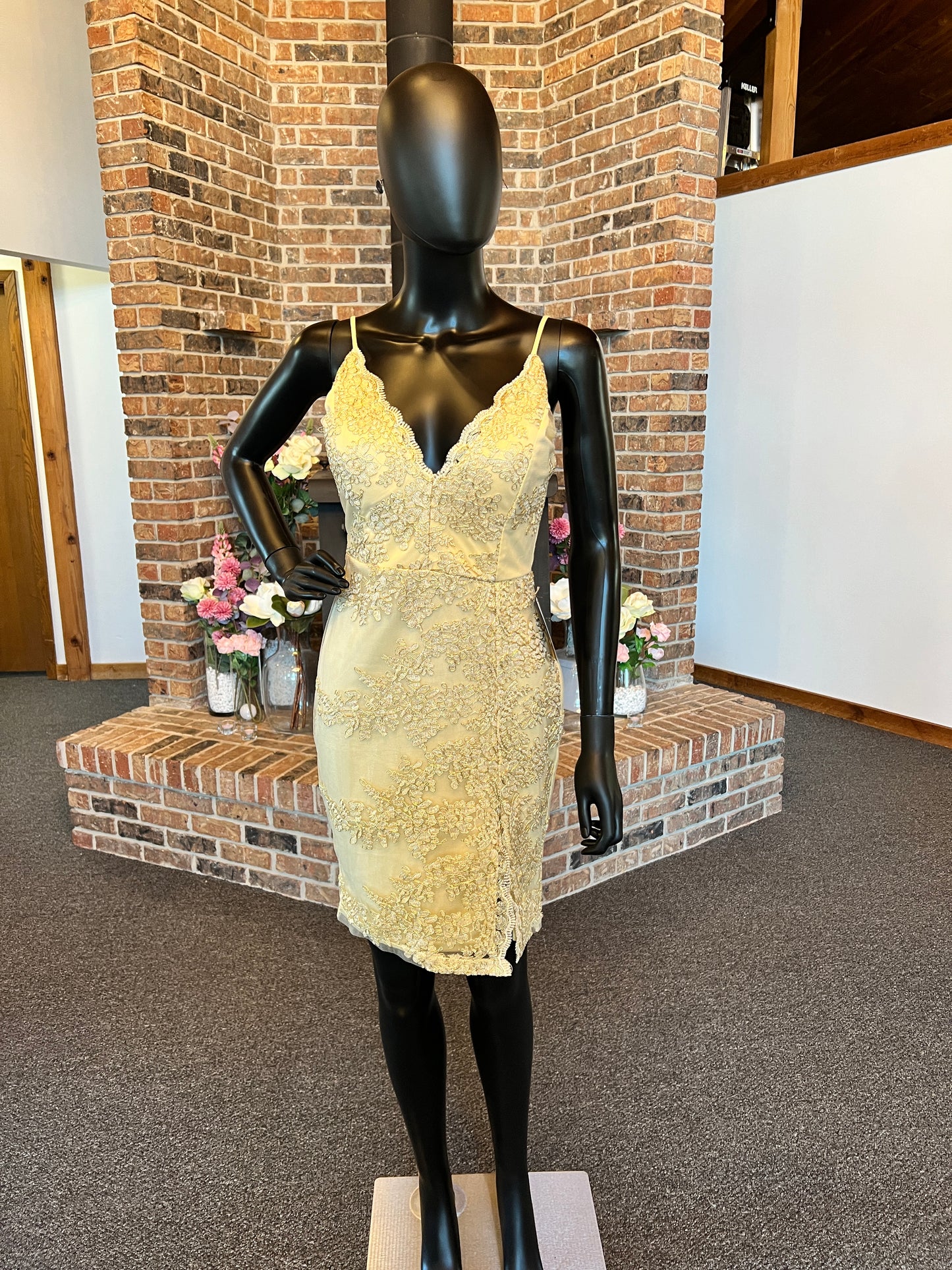 Gold/Lace Applique Fitted Cocktail Dress / Party Dress