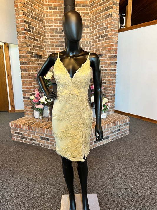 Gold/Lace Applique Fitted Cocktail Dress / Party Dress