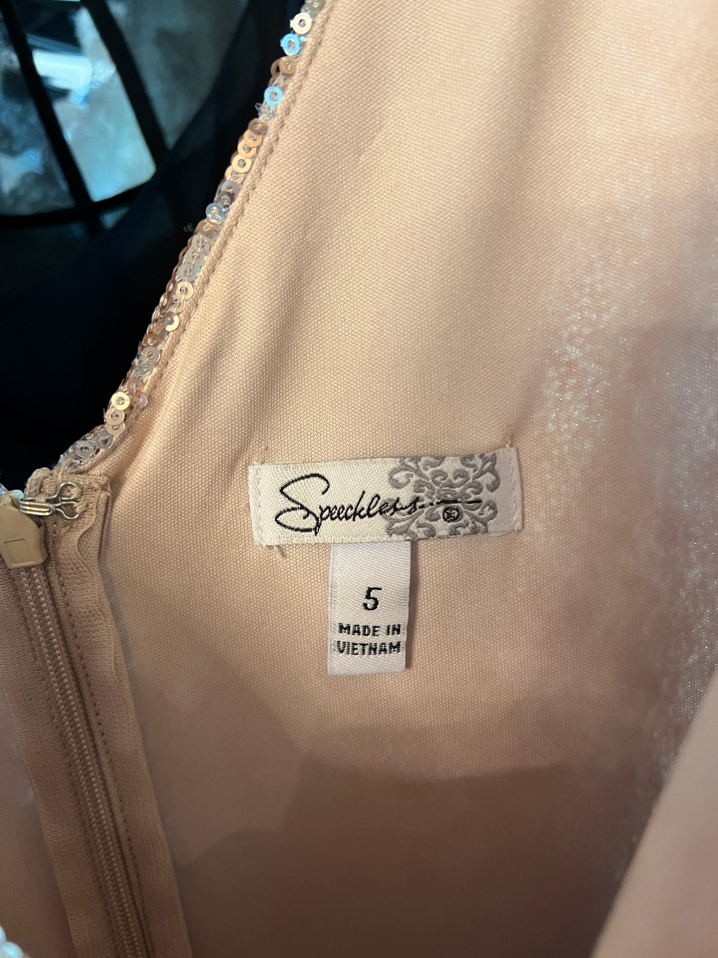 Sequin & Chiffon Skirt Short Dress