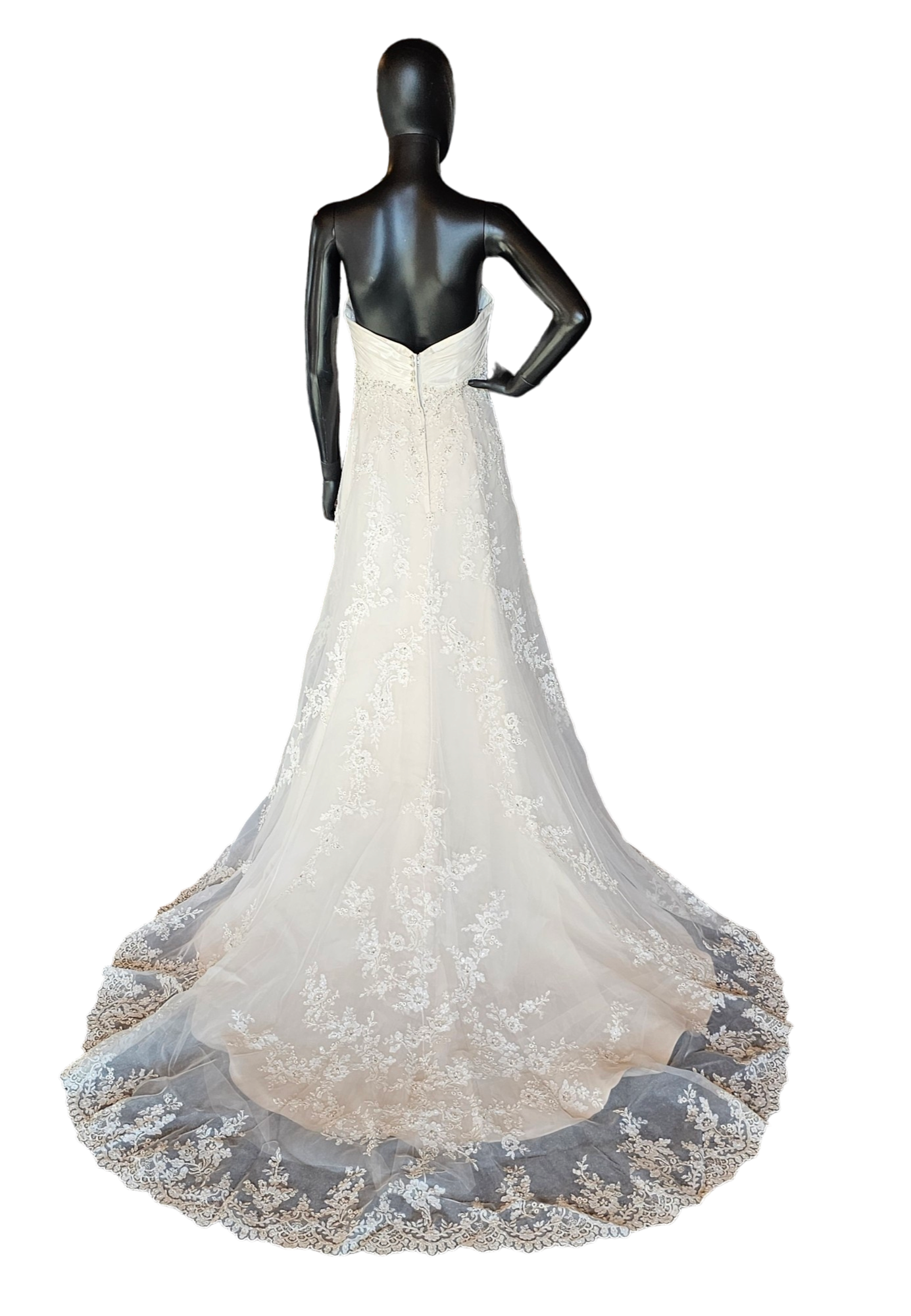 Casablanca Ivory Lace Overlay Wedding Gown