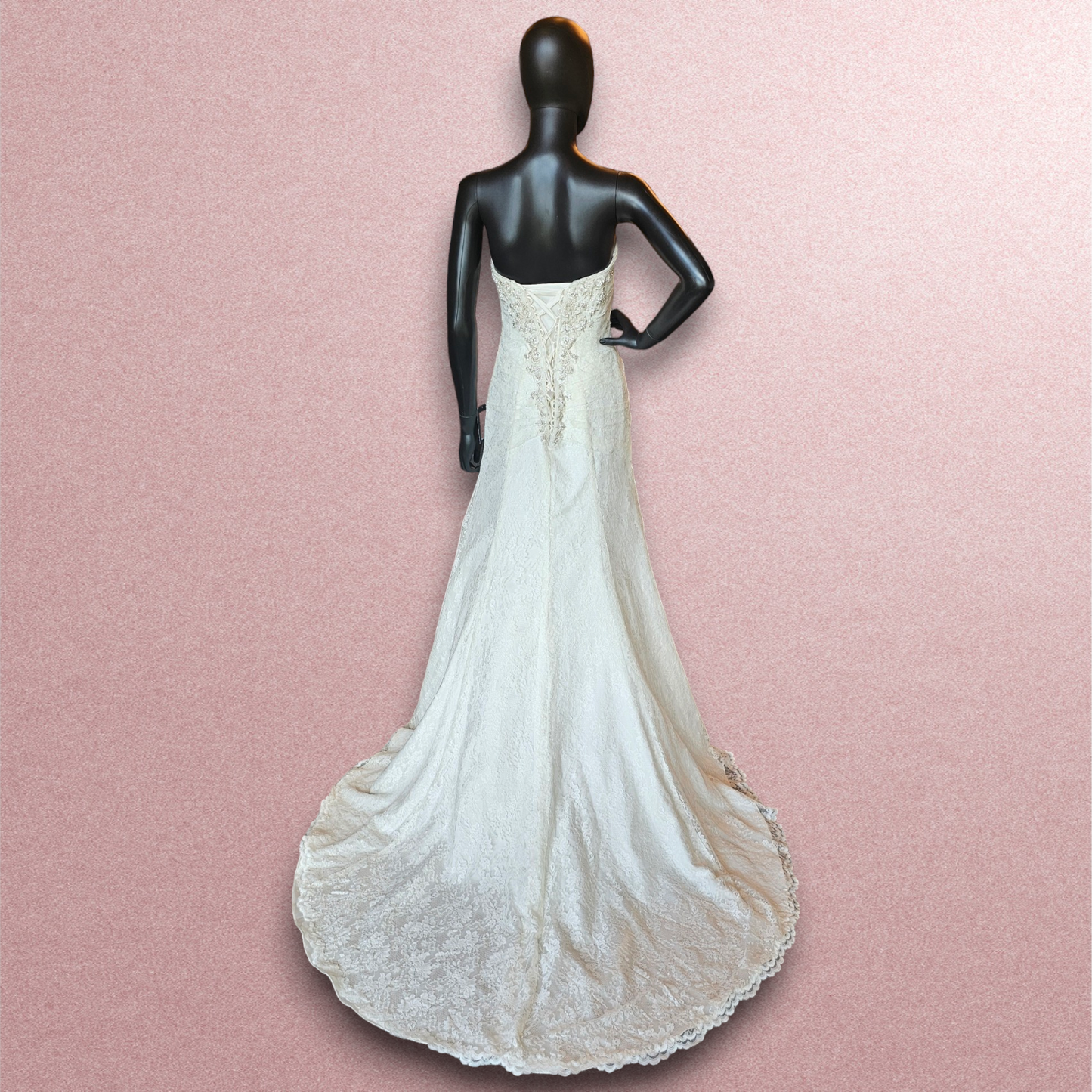David's Bridal Lace Side Ruched Wedding Gown
