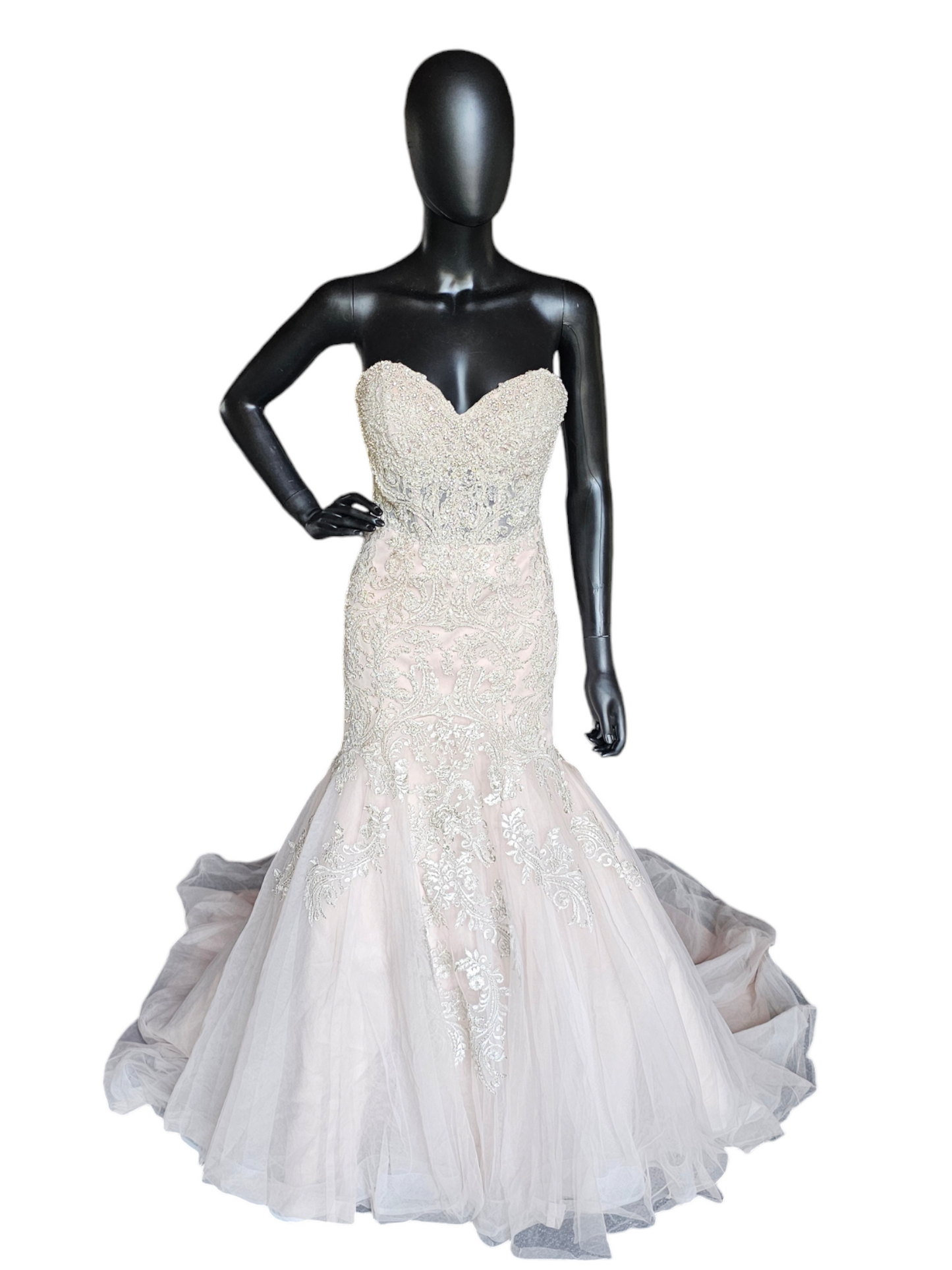 Stella York Fit-Flare Champagne Strapless Wedding Gown