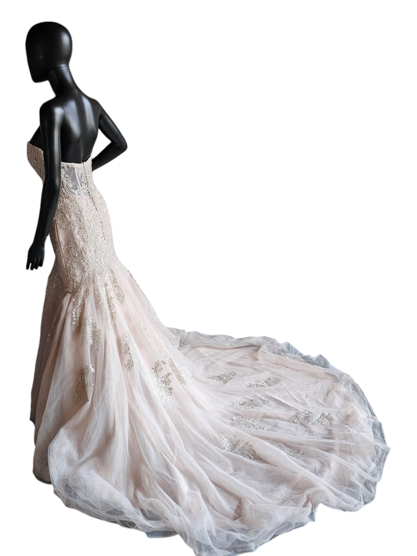Stella York Fit-Flare Champagne Strapless Wedding Gown