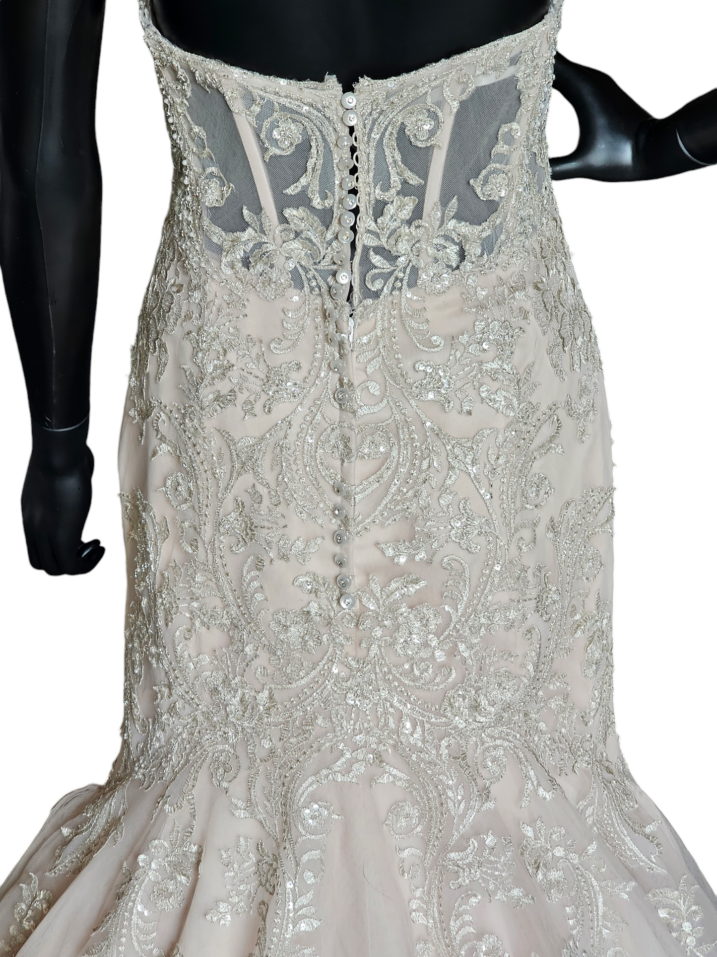 Stella York Fit-Flare Champagne Strapless Wedding Gown