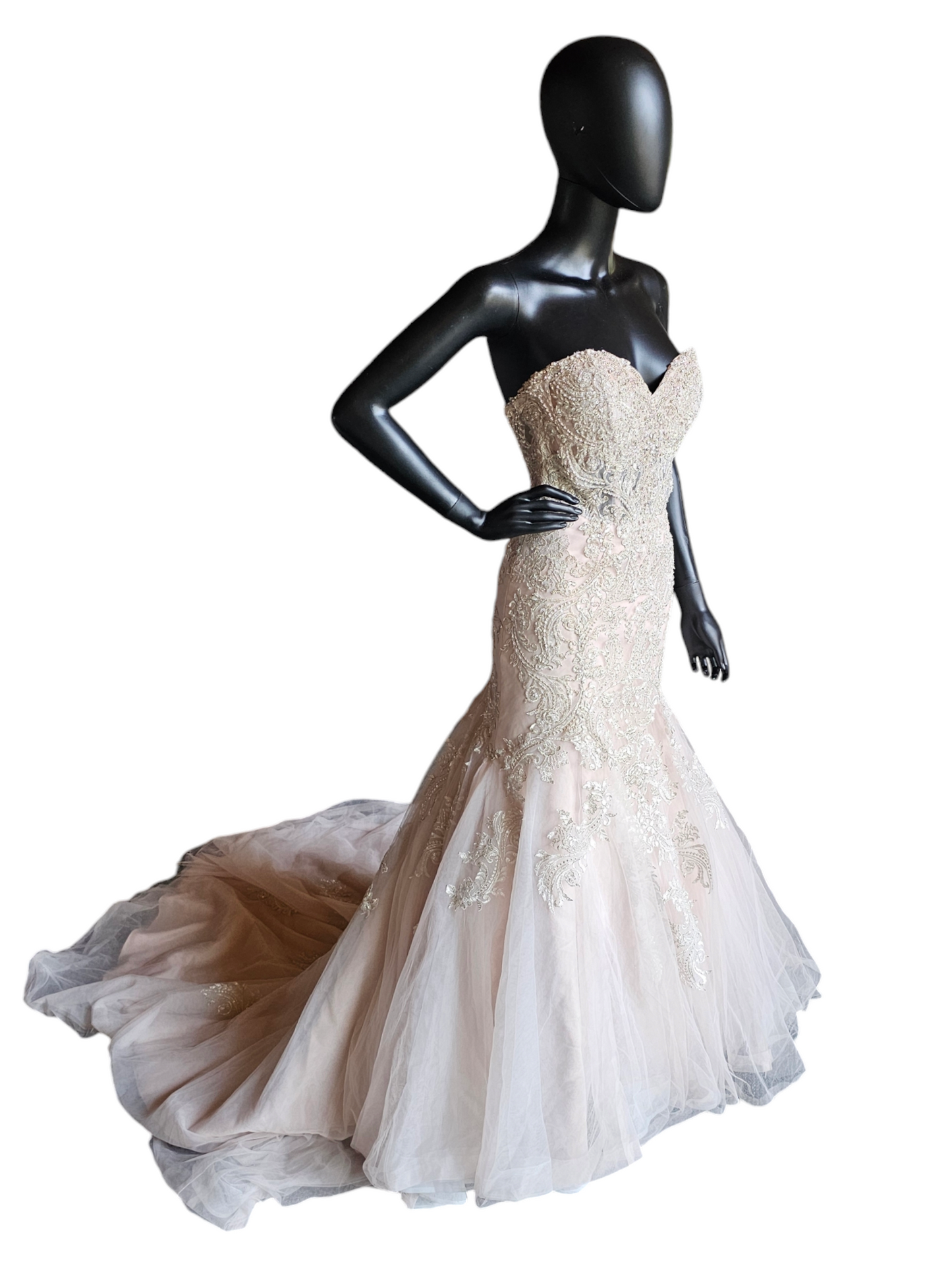 Stella York Fit-Flare Champagne Strapless Wedding Gown
