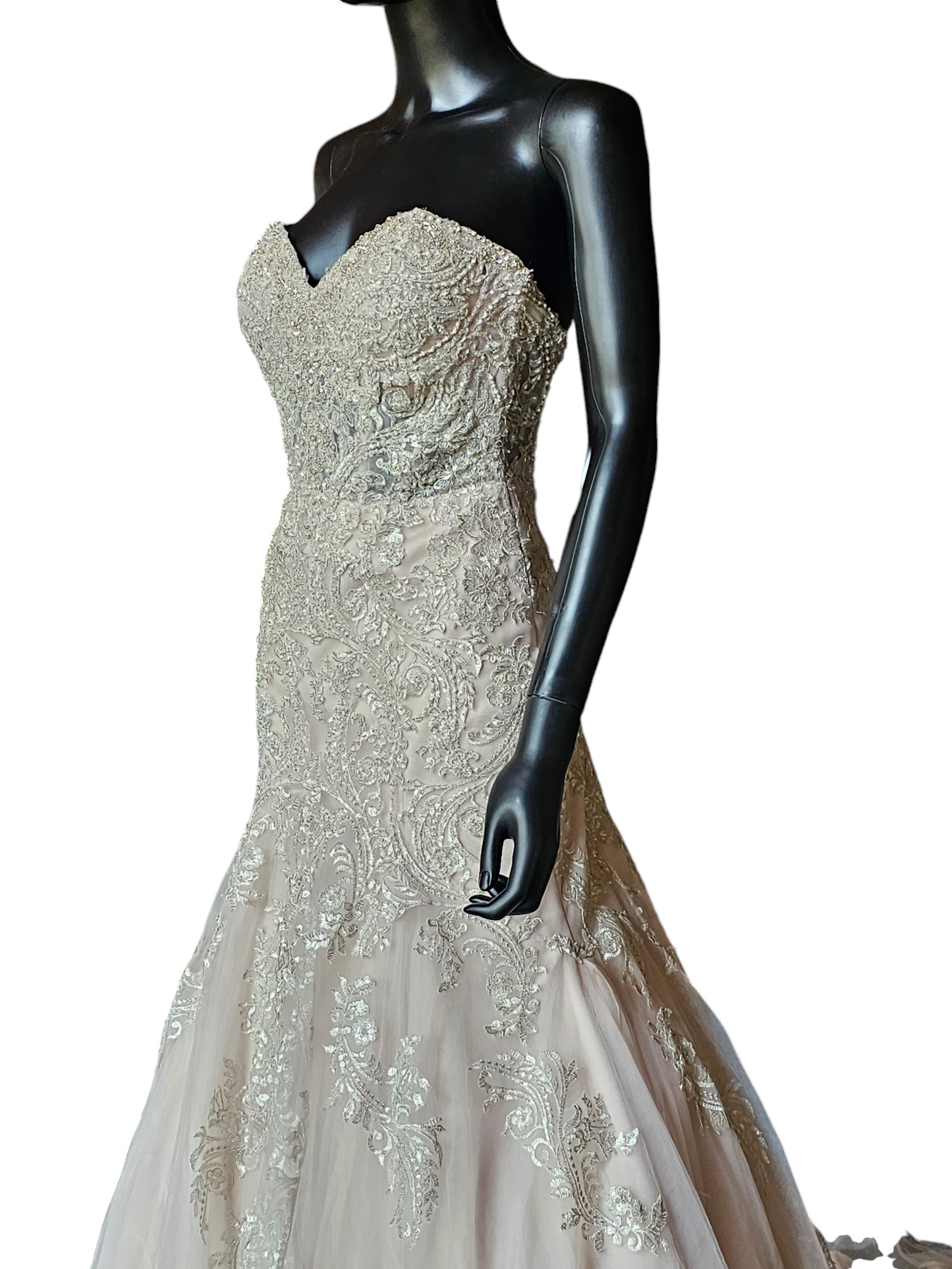 Stella York Fit-Flare Champagne Strapless Wedding Gown