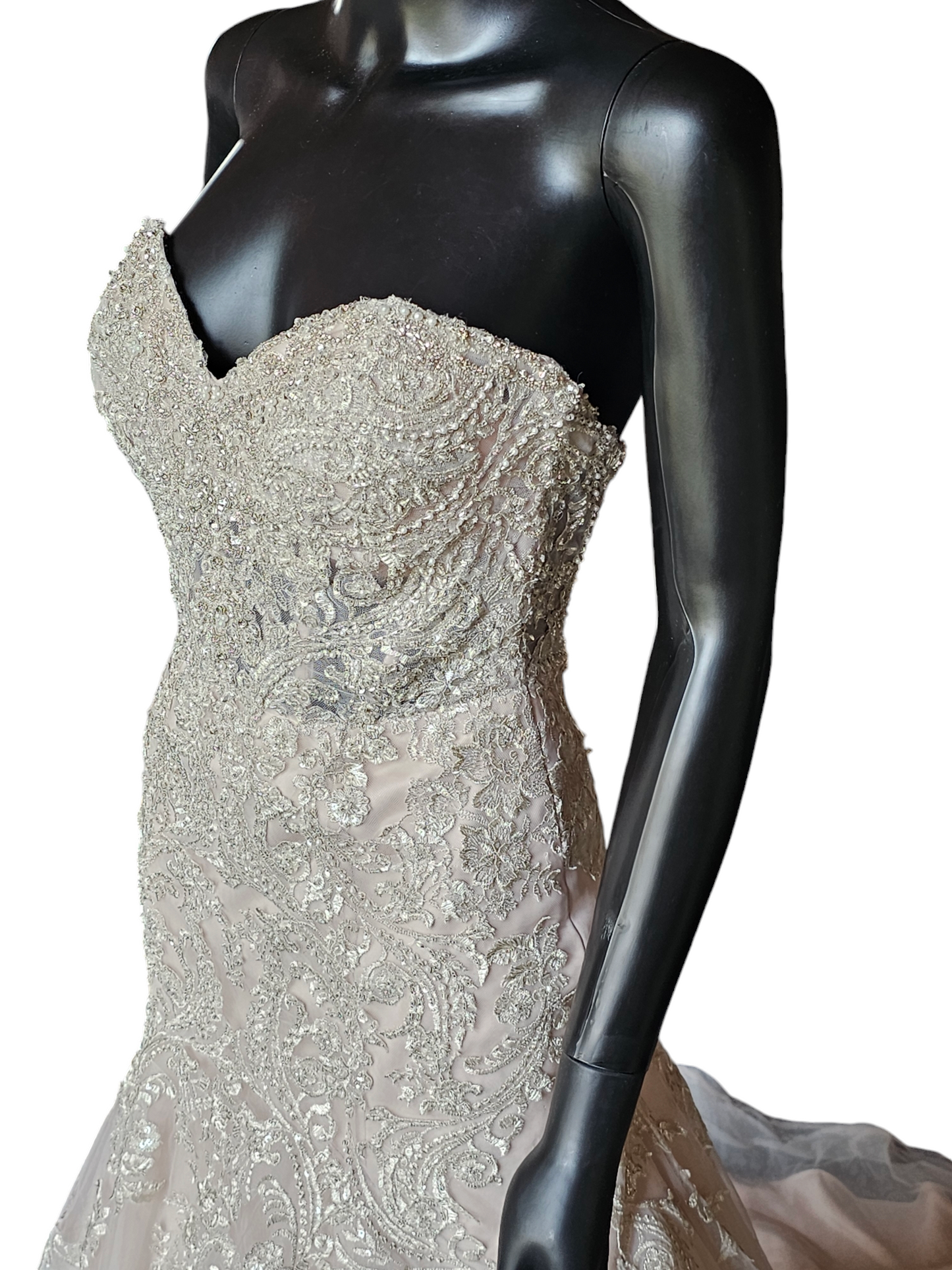 Stella York Fit-Flare Champagne Strapless Wedding Gown