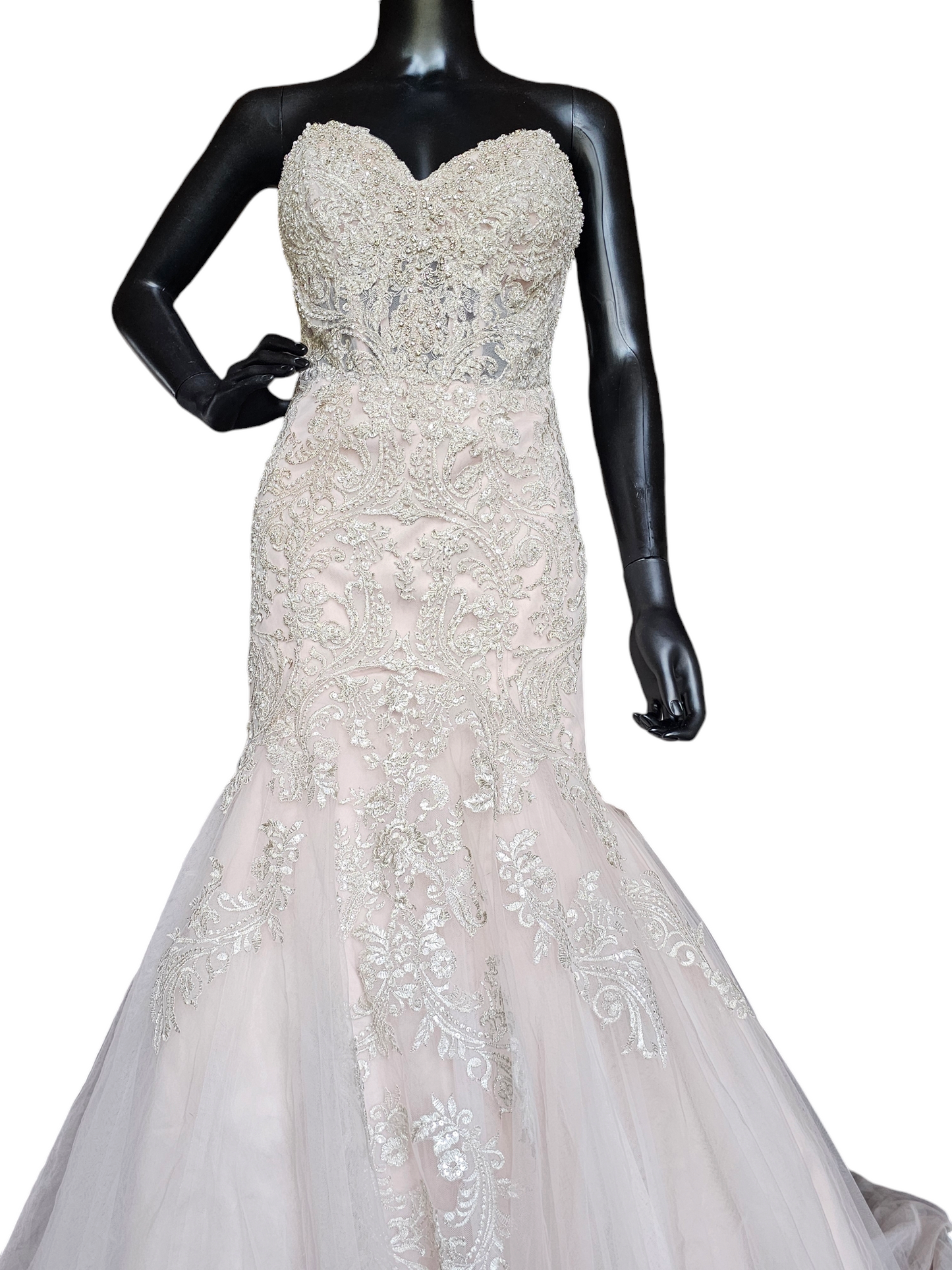 Stella York Fit-Flare Champagne Strapless Wedding Gown