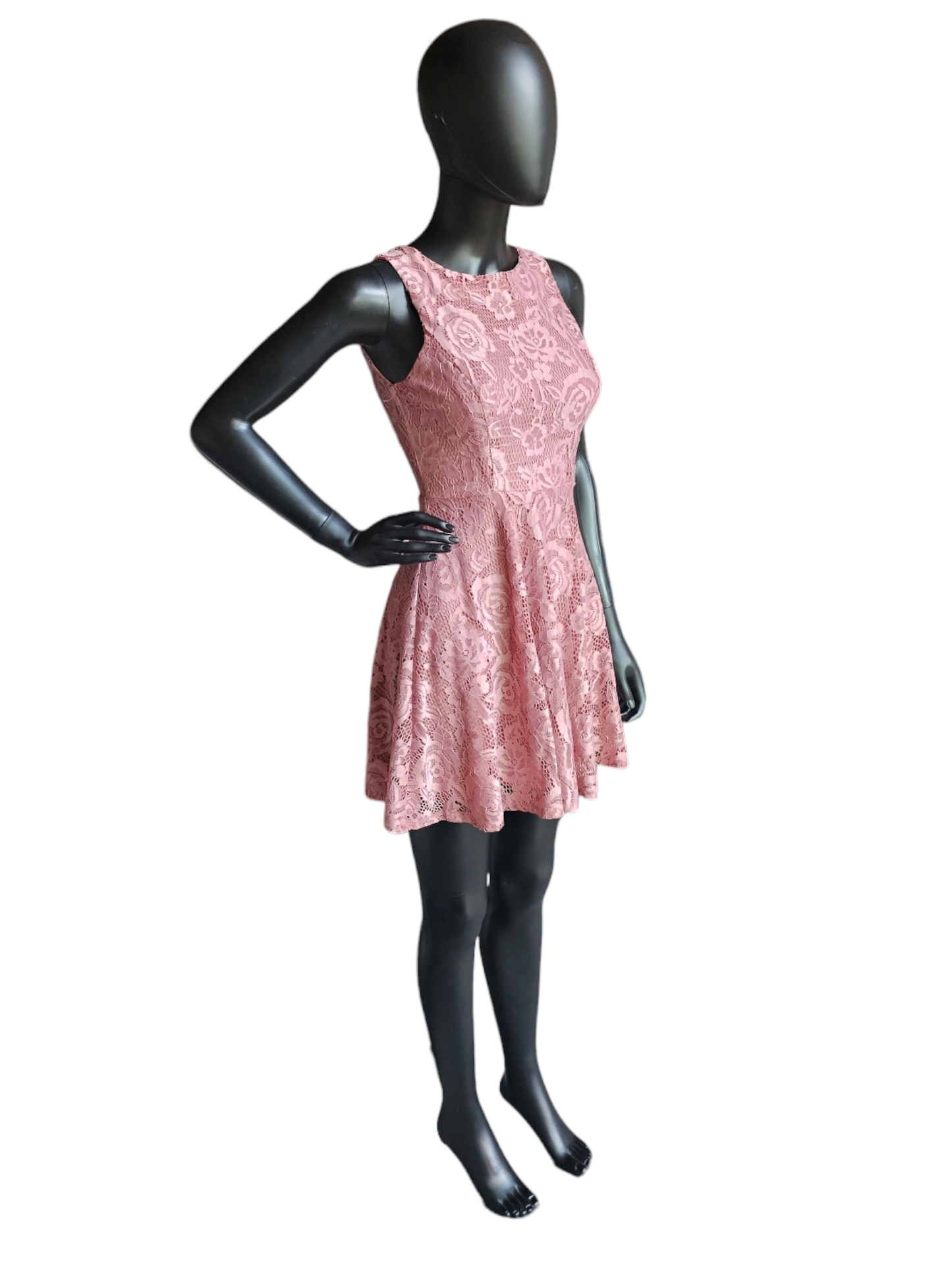 Rose Lace Circle Skirt Dress - Speechless