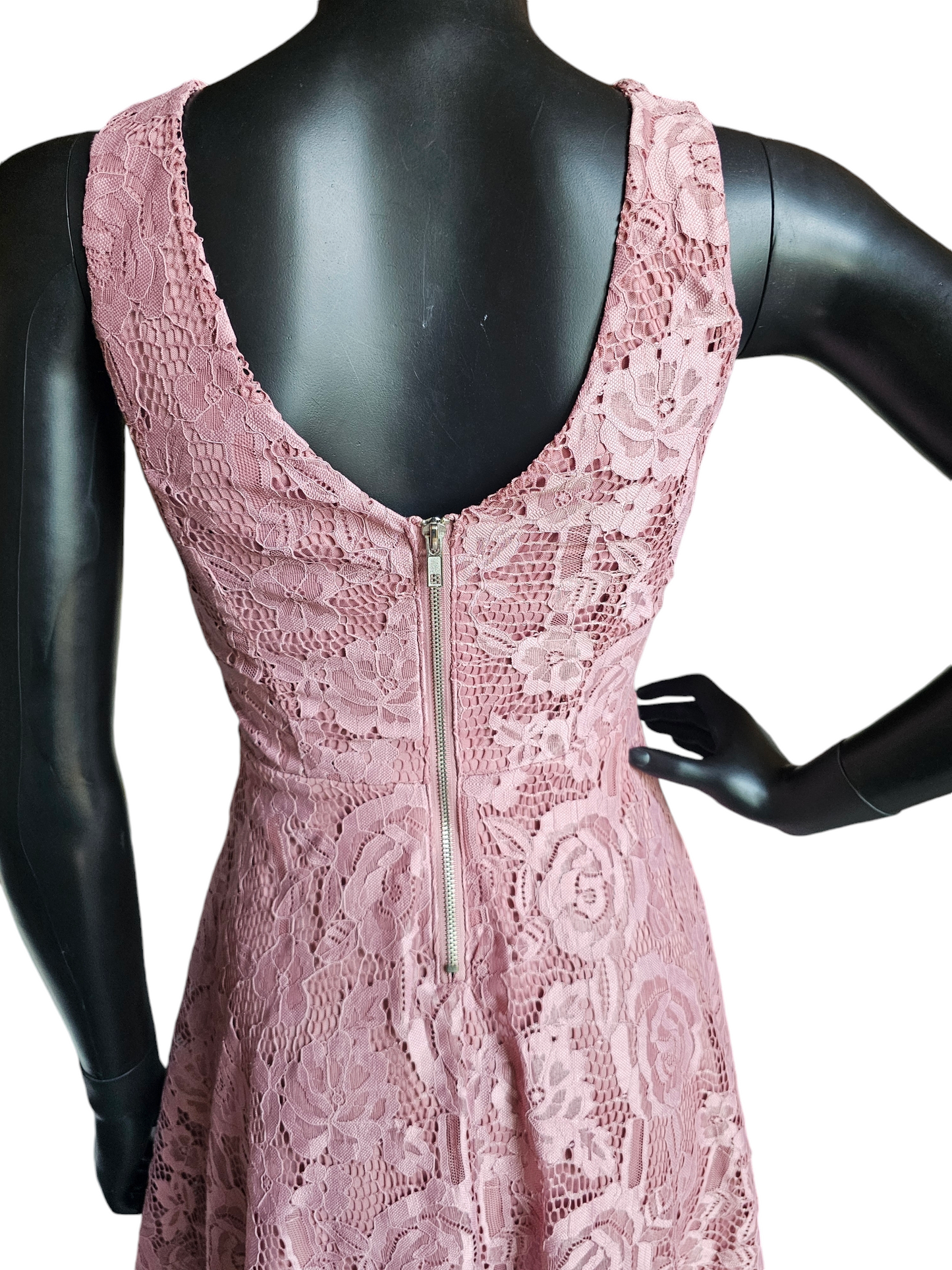 Rose Lace Circle Skirt Dress - Speechless