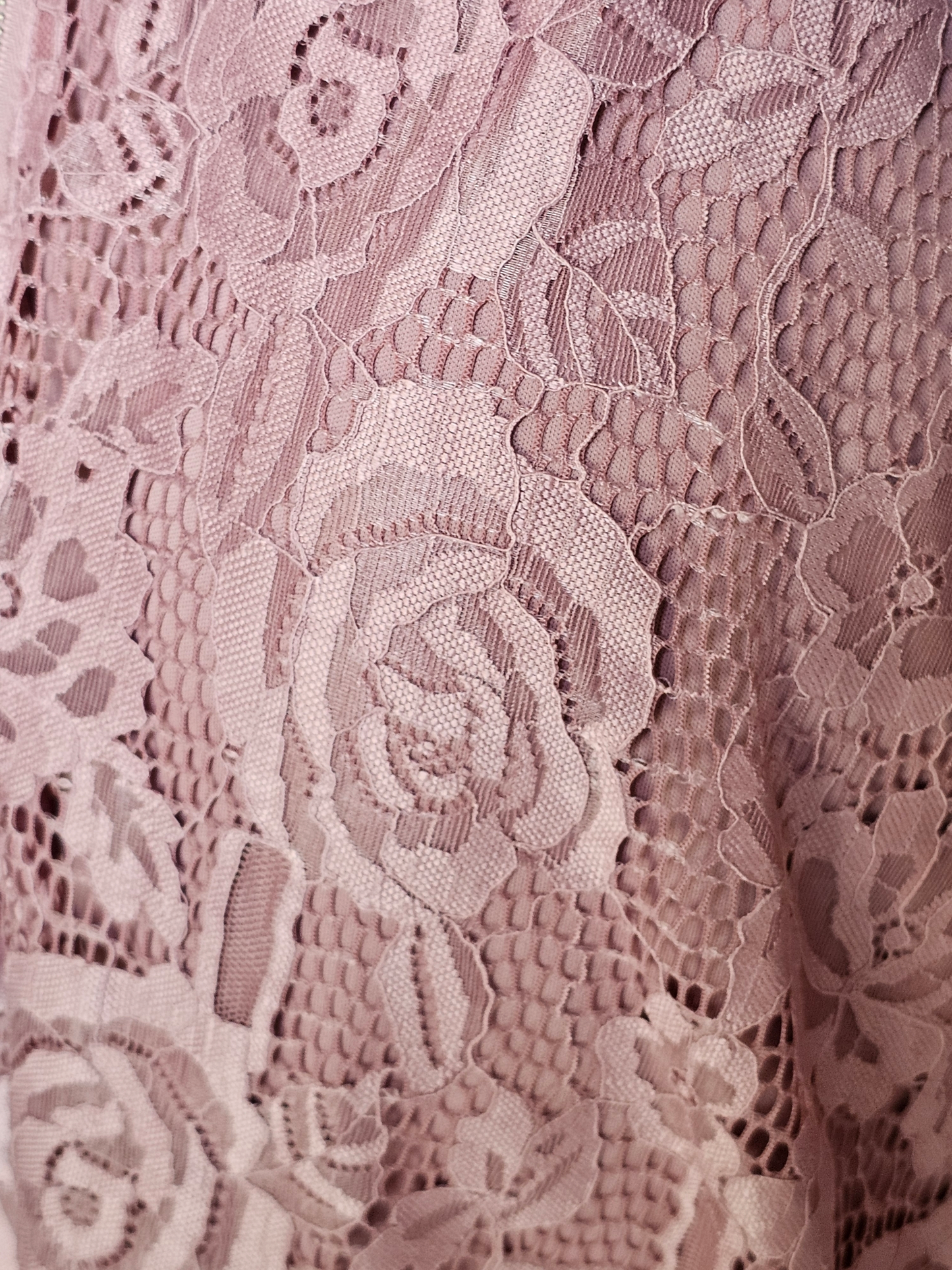 Rose Lace Circle Skirt Dress - Speechless