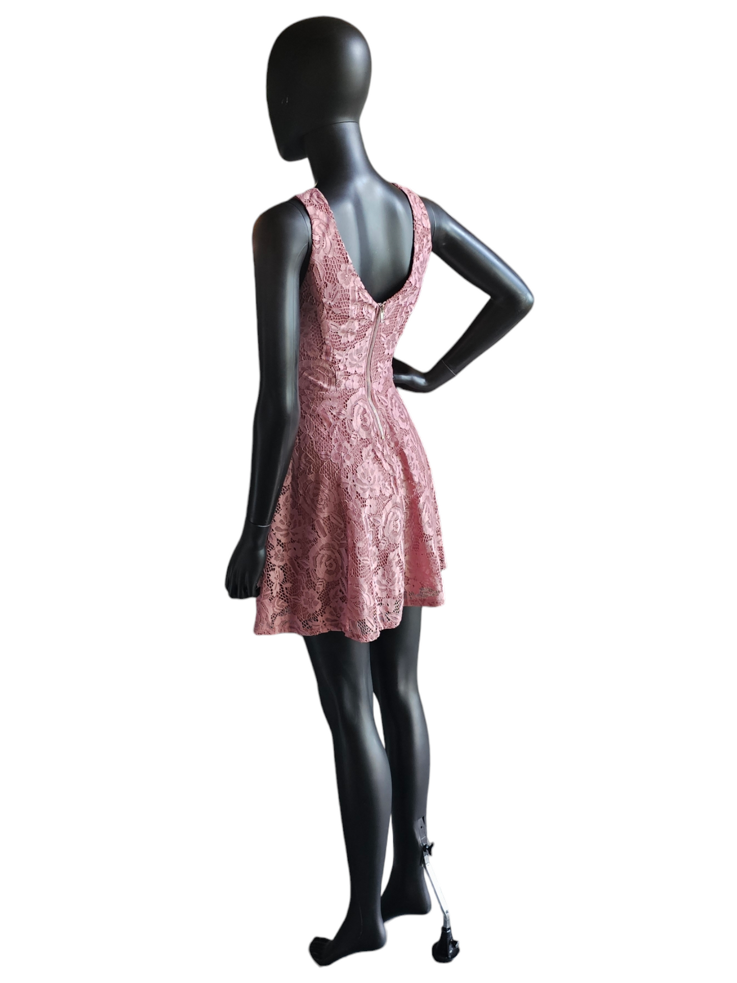 Rose Lace Circle Skirt Dress - Speechless