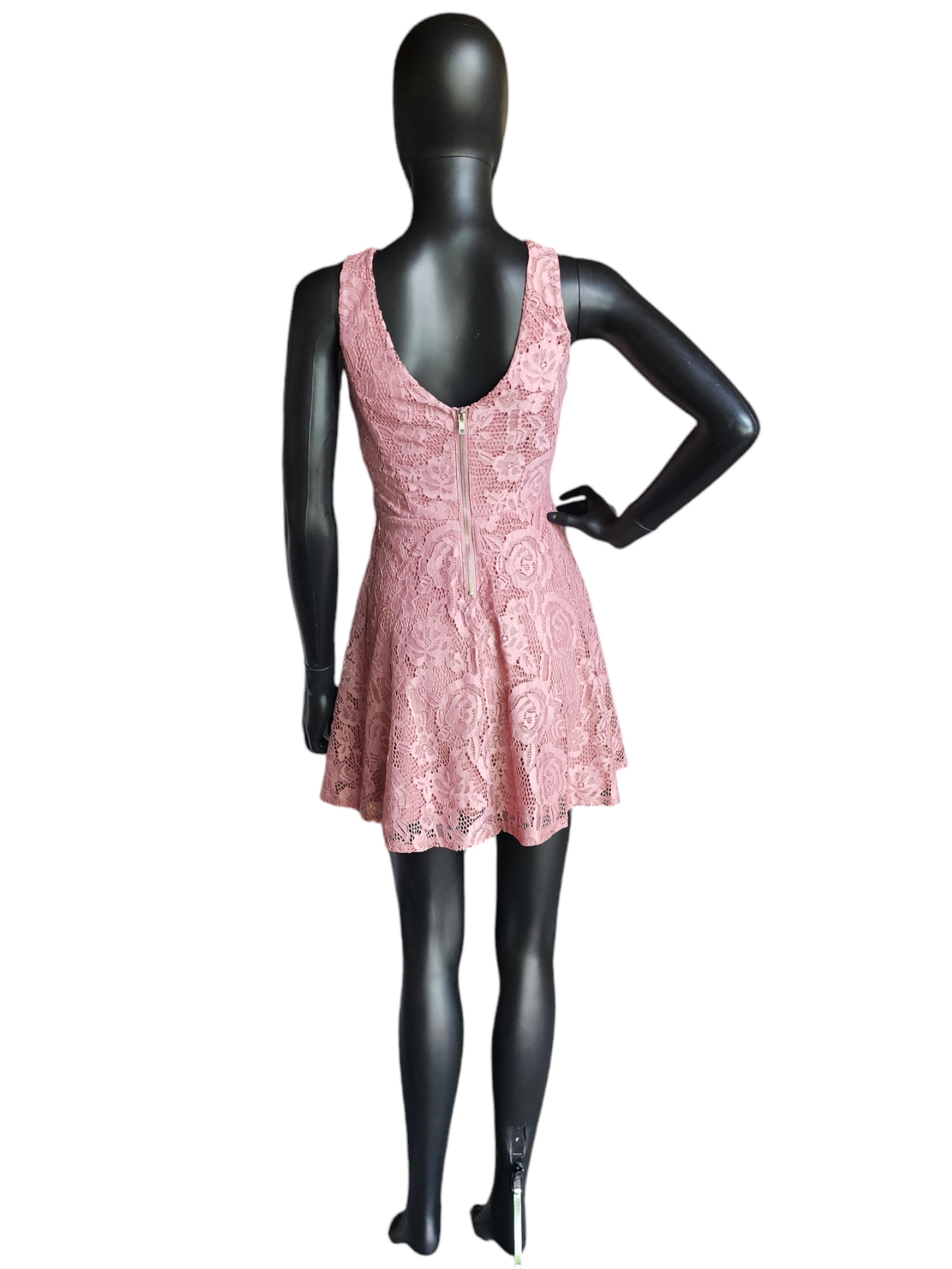 Rose Lace Circle Skirt Dress - Speechless