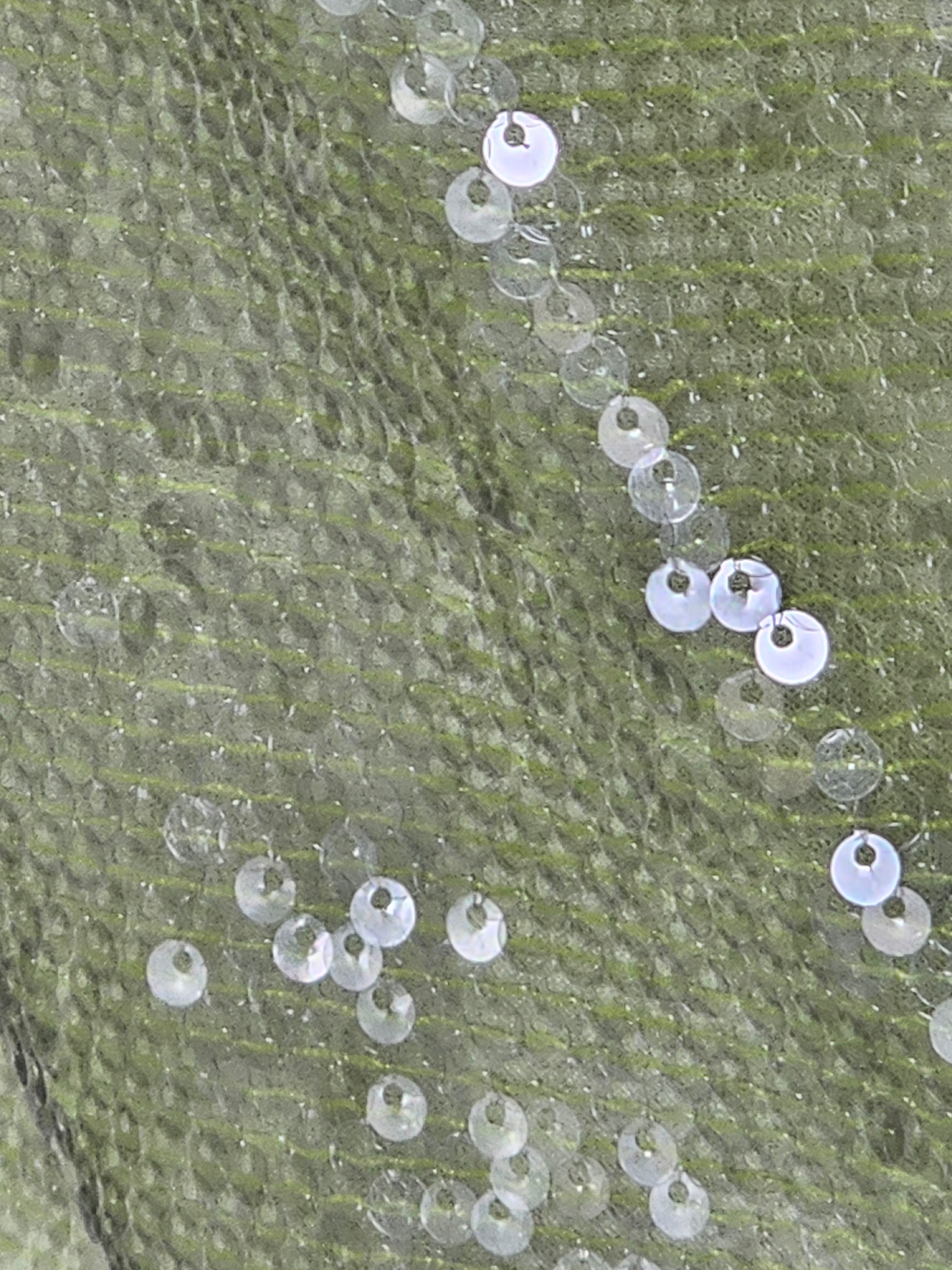 Green Apple Full Sequin V-Neck - A New Day