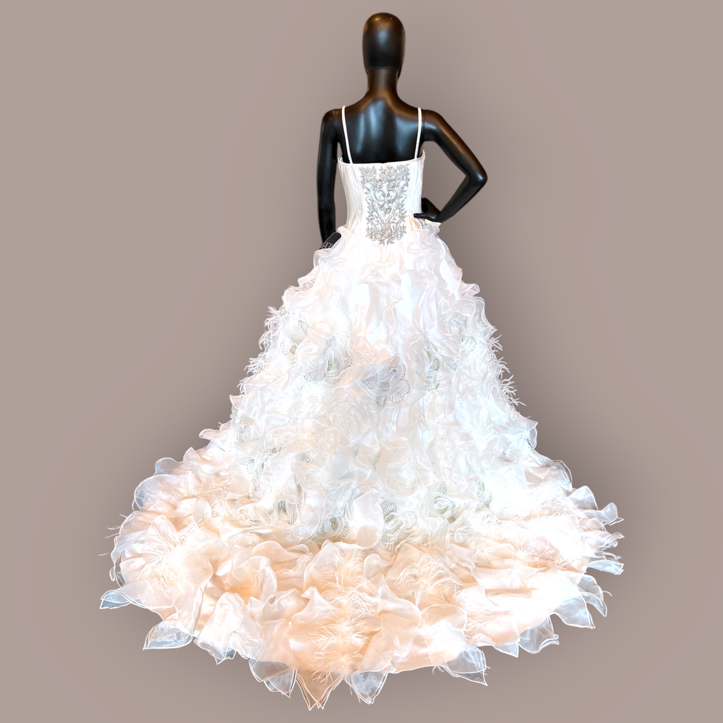 Ysa Makino Embellished A-Line Wedding Gown