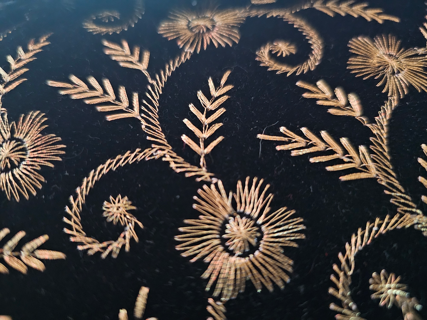 Black/Gold Embroidered Floral Envelope Clutch