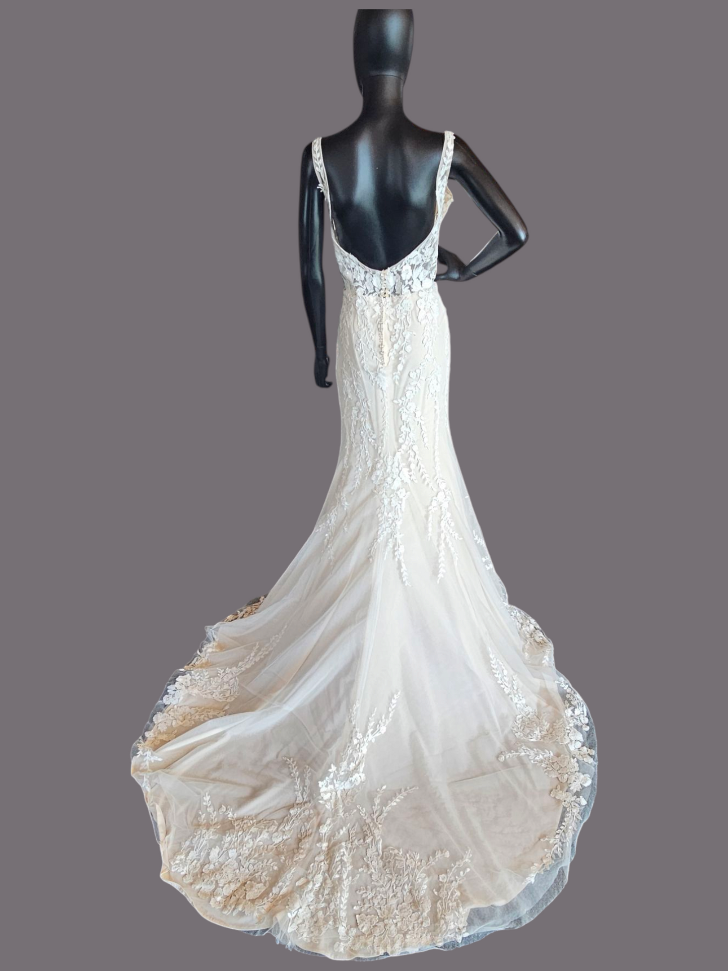 Blush Illusion Bodice Fit and Flare Scoop Back Wedding Gown - Stella Couture