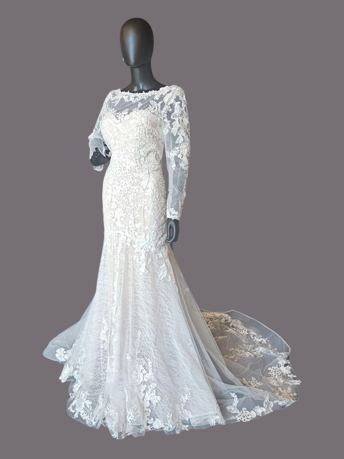 Blush Illusion Boat Neck Long Sleeve Fit & Flare Lace - Stella Couture