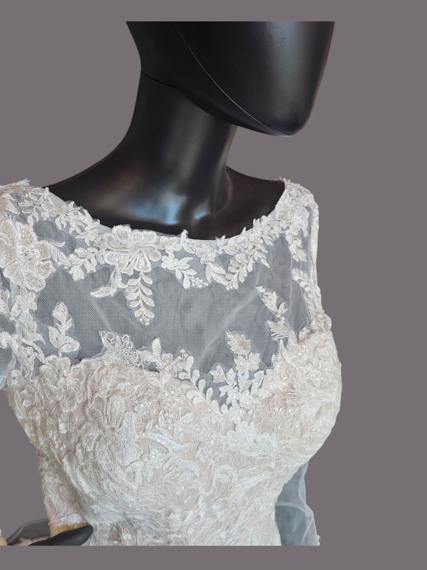 Blush Illusion Boat Neck Long Sleeve Fit & Flare Lace - Stella Couture