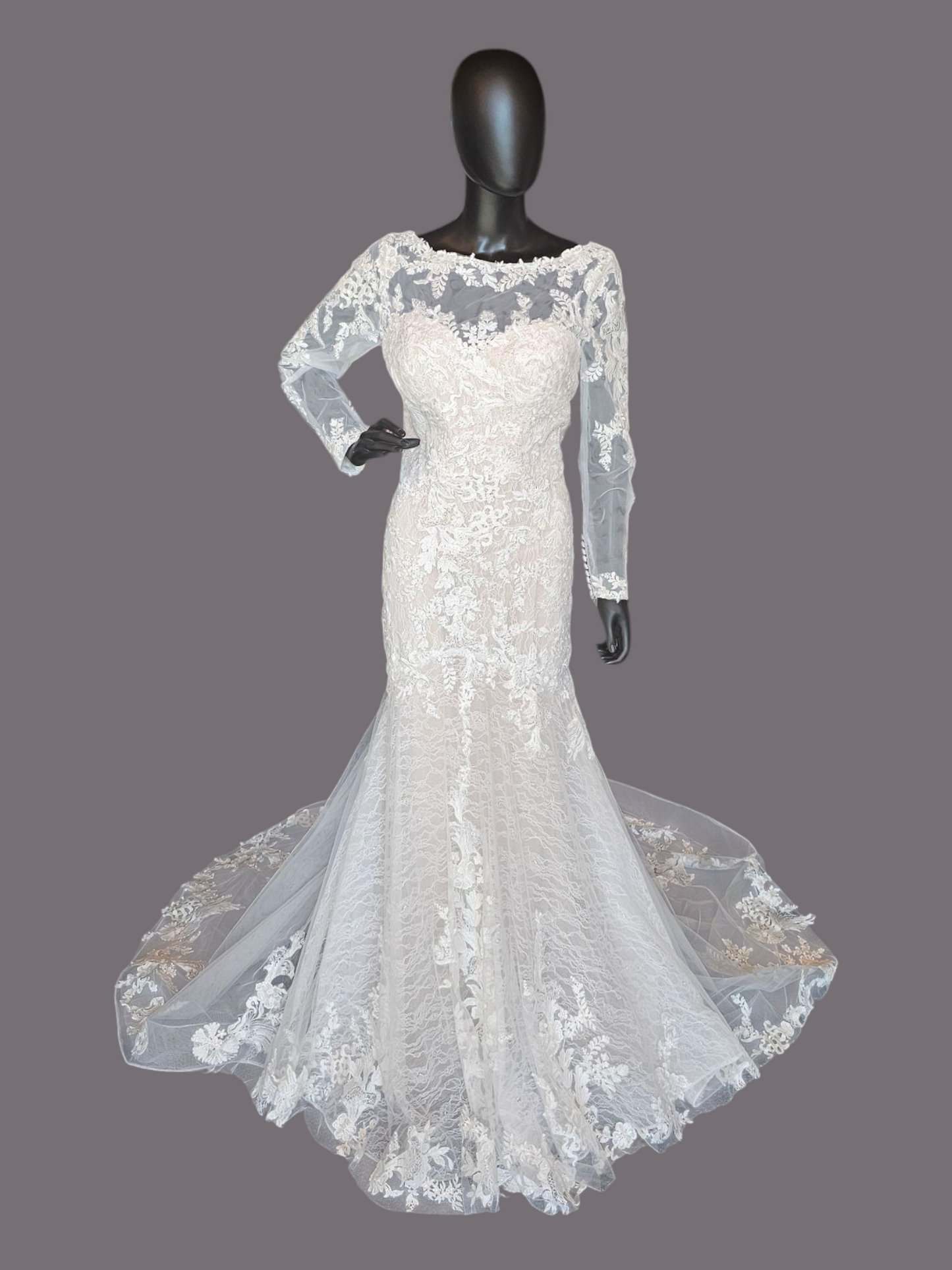 Blush Illusion Boat Neck Long Sleeve Fit & Flare Lace - Stella Couture