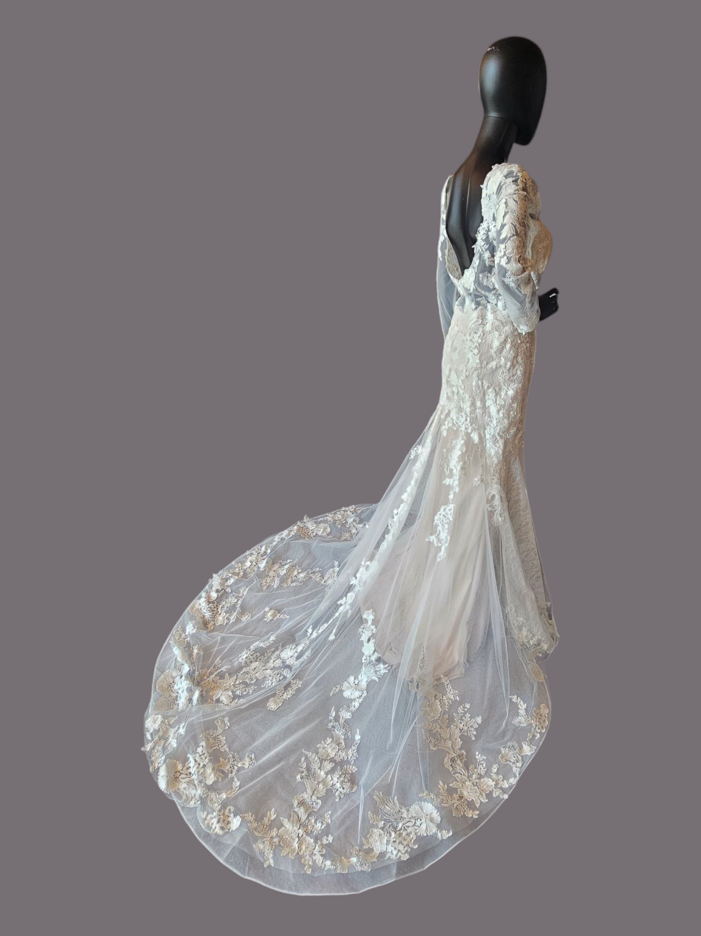 Blush Illusion Boat Neck Long Sleeve Fit & Flare Lace - Stella Couture