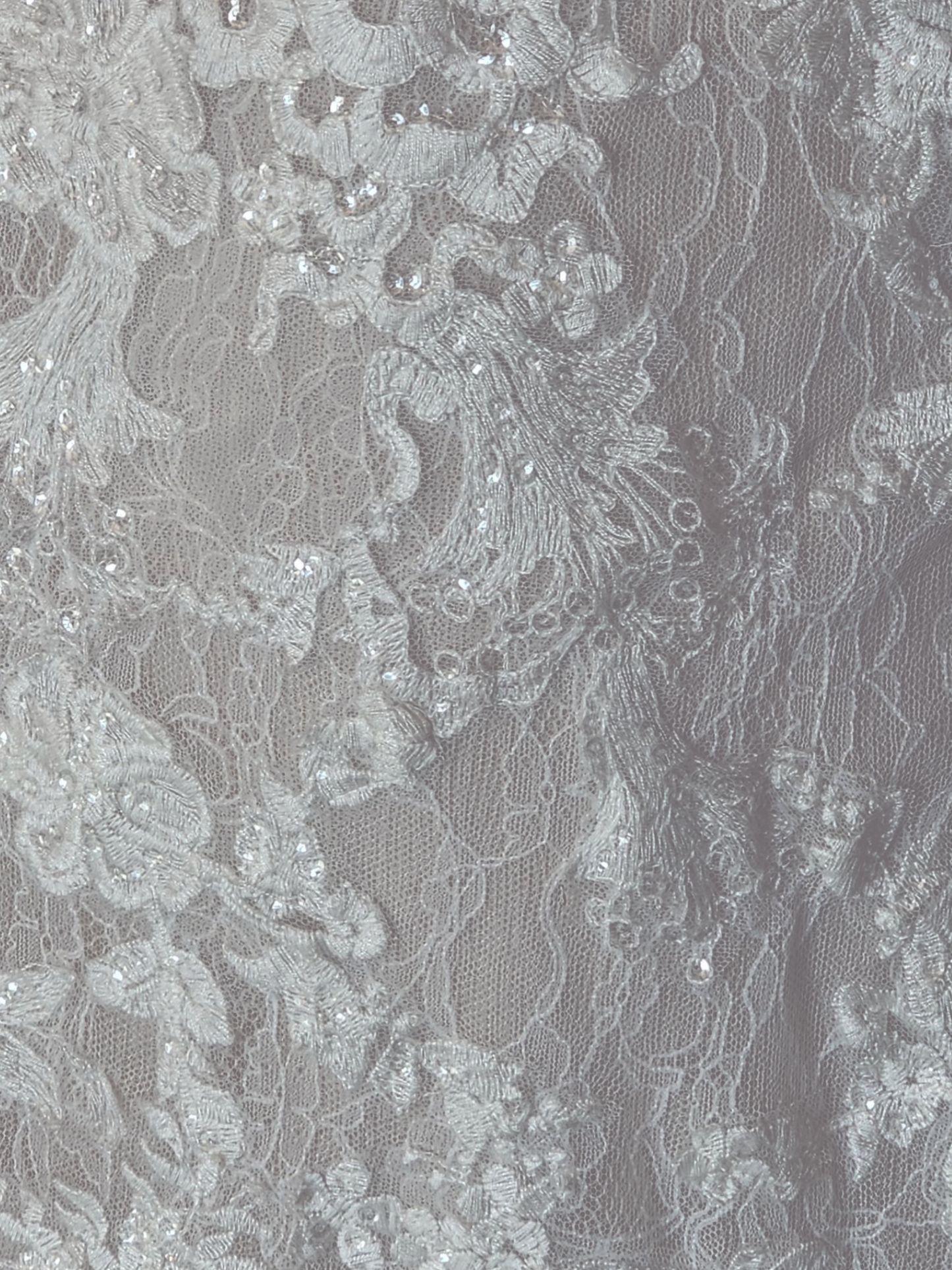 Blush Illusion Boat Neck Long Sleeve Fit & Flare Lace - Stella Couture