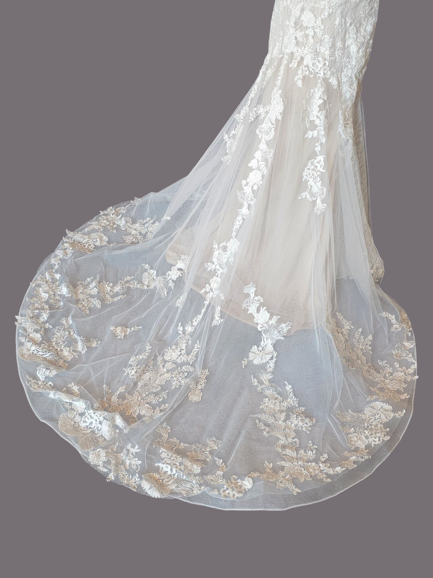 Blush Illusion Boat Neck Long Sleeve Fit & Flare Lace - Stella Couture