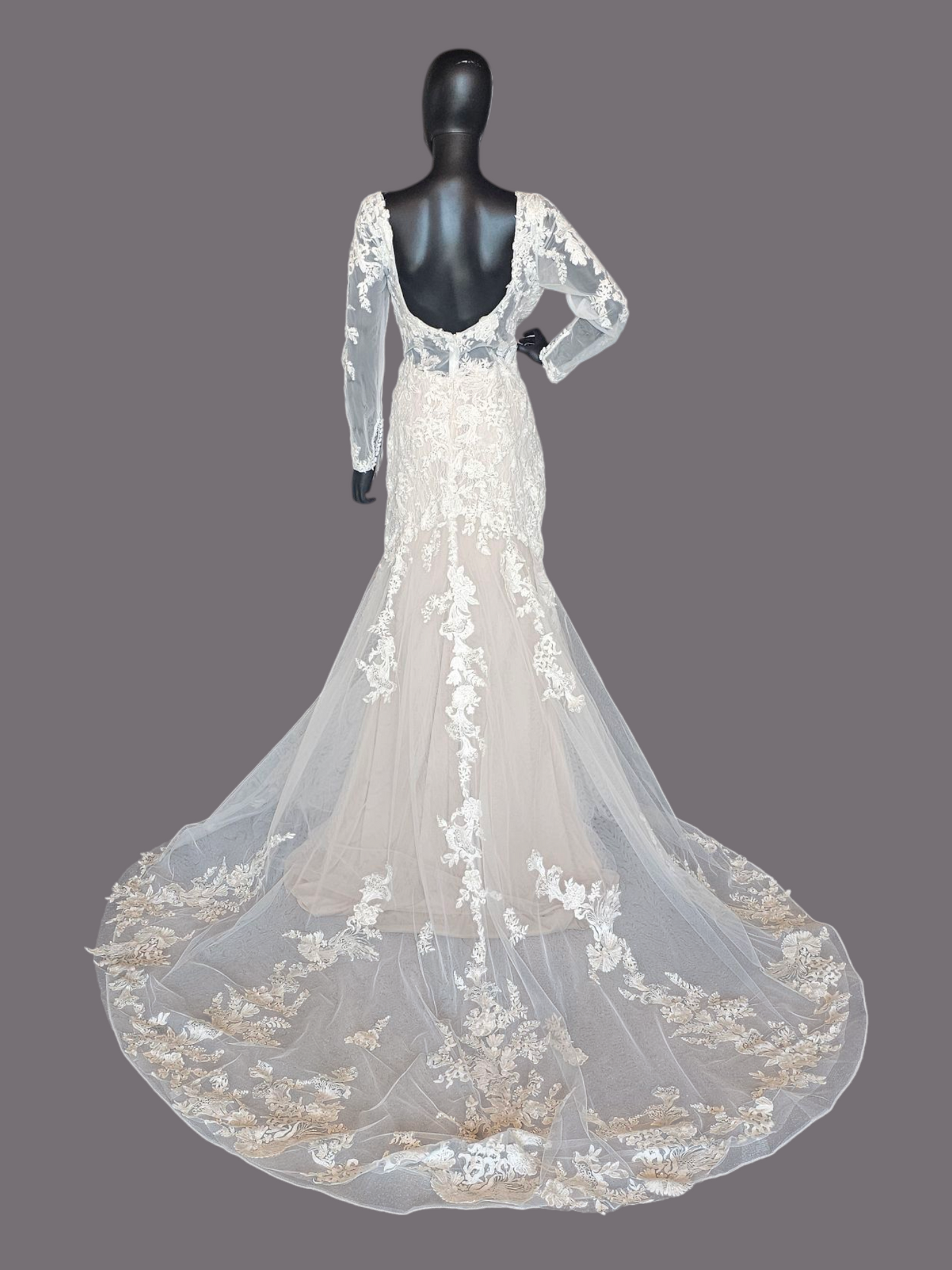 Blush Illusion Boat Neck Long Sleeve Fit & Flare Lace - Stella Couture