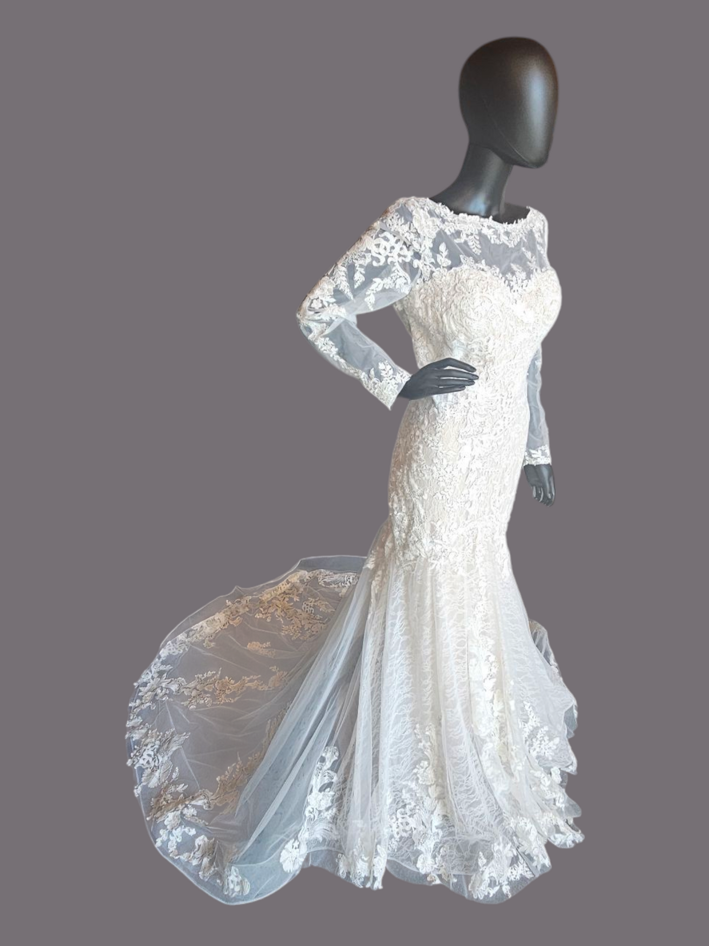 Blush Illusion Boat Neck Long Sleeve Fit & Flare Lace - Stella Couture