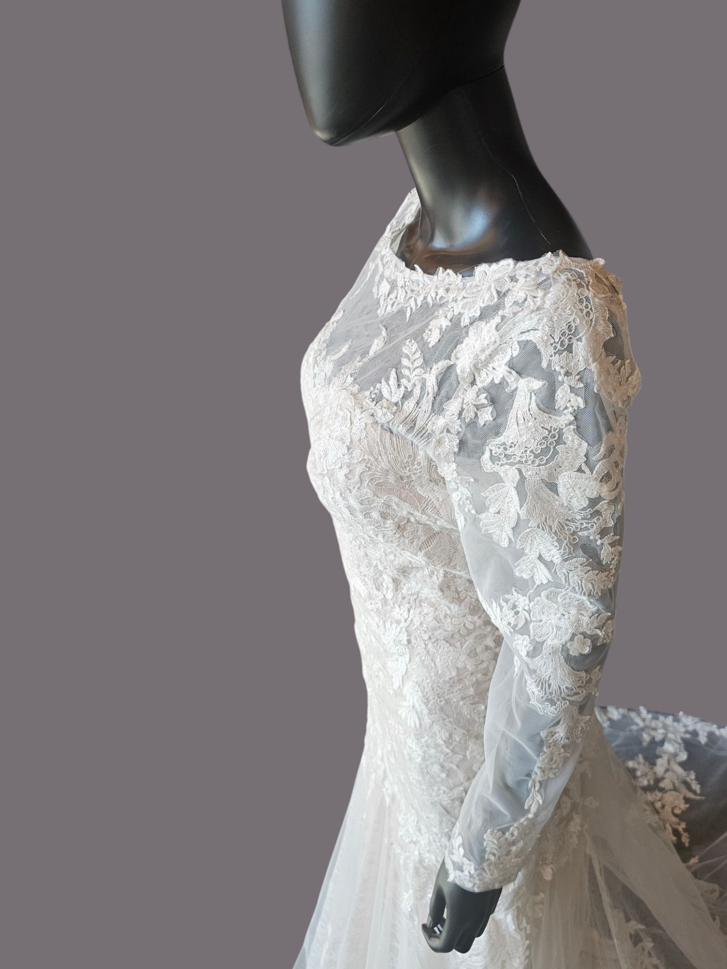 Blush Illusion Boat Neck Long Sleeve Fit & Flare Lace - Stella Couture