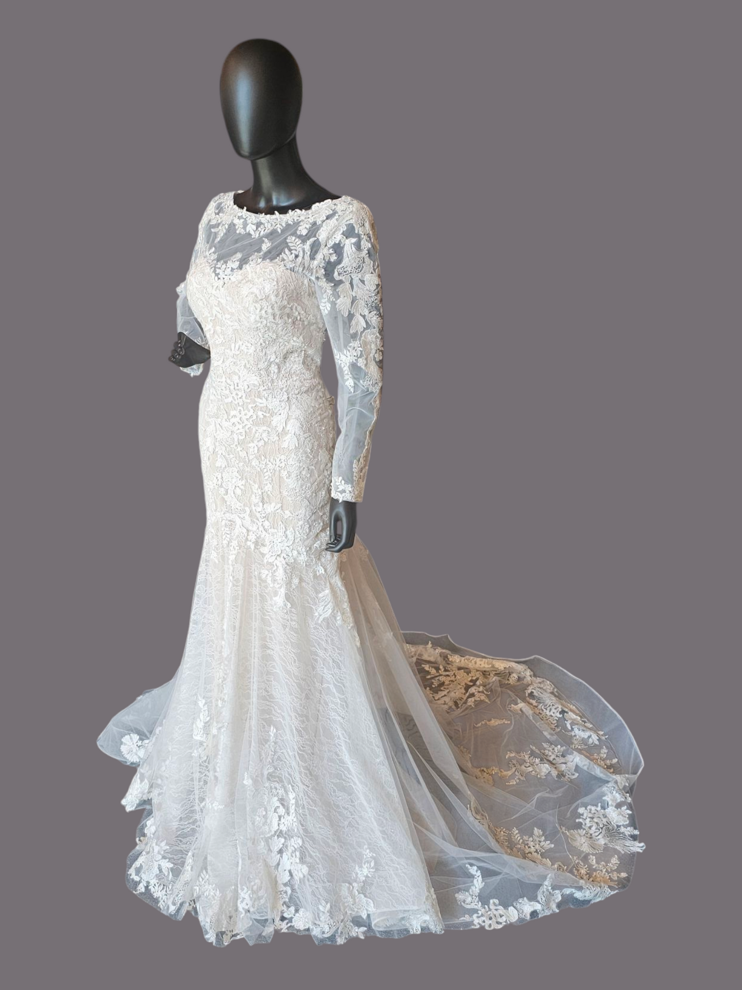 Blush Illusion Boat Neck Long Sleeve Fit & Flare Lace - Stella Couture