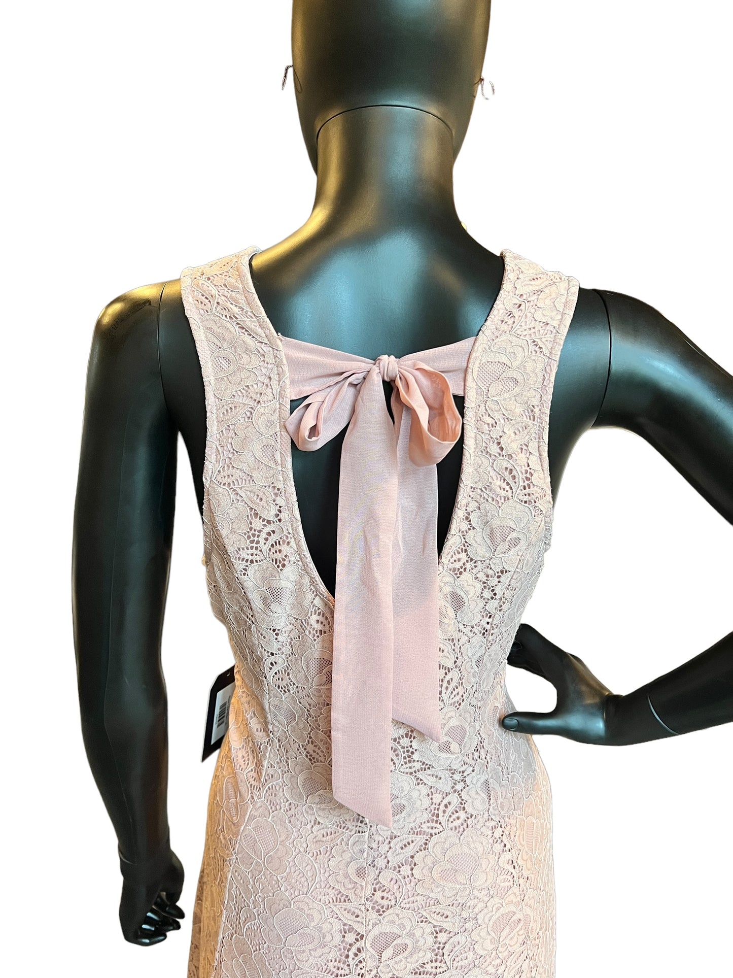 Rose Lace Mid-Length Dress