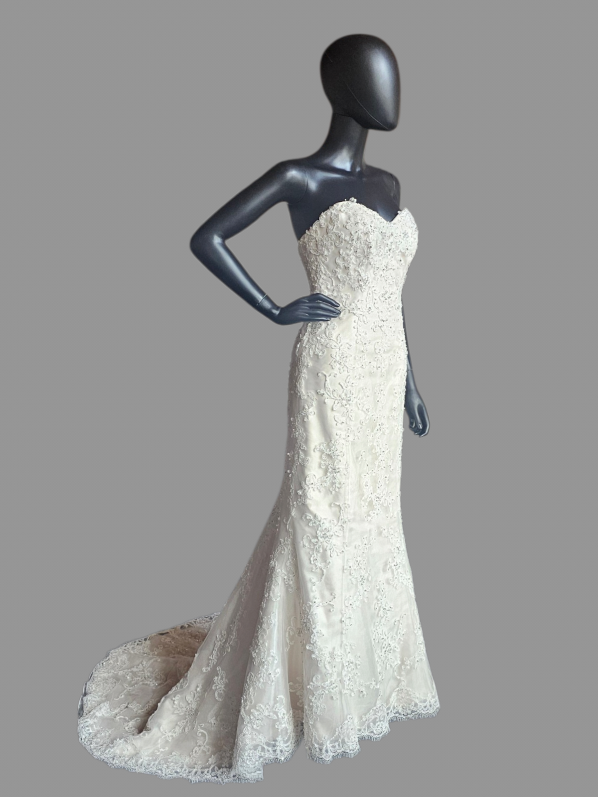 Ivory Lace Fit/Flare Sweetheart  Wedding Gown - Sottero & Midgley