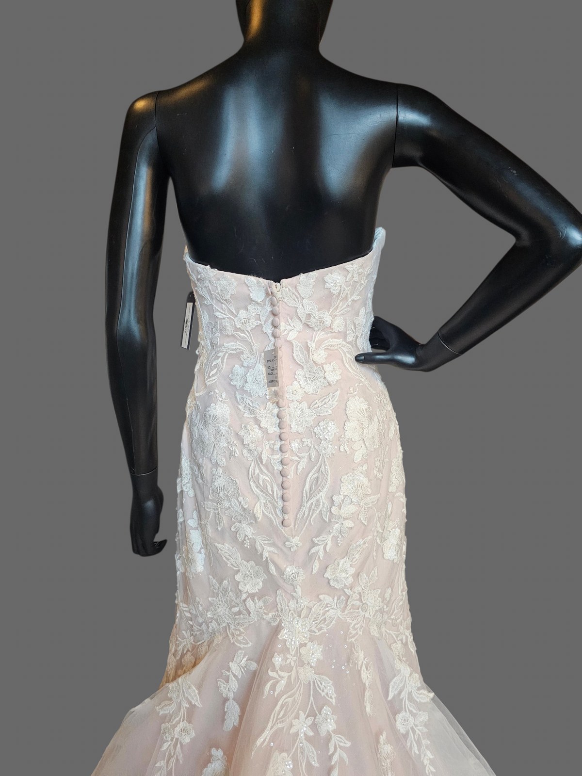 Blush/Ivory Lace Belted Fit - Oleg Cassini