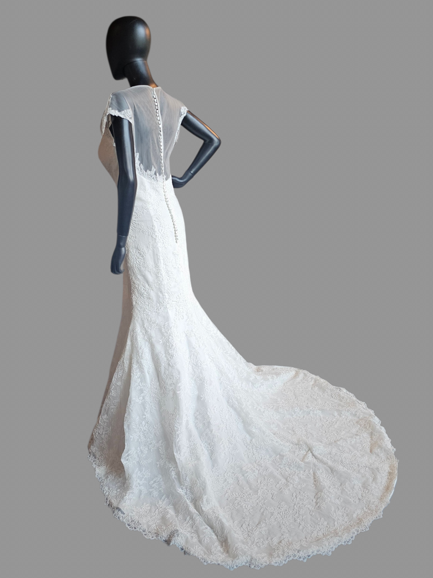 Ivory Lace Illusion Neckline - Da Vinci