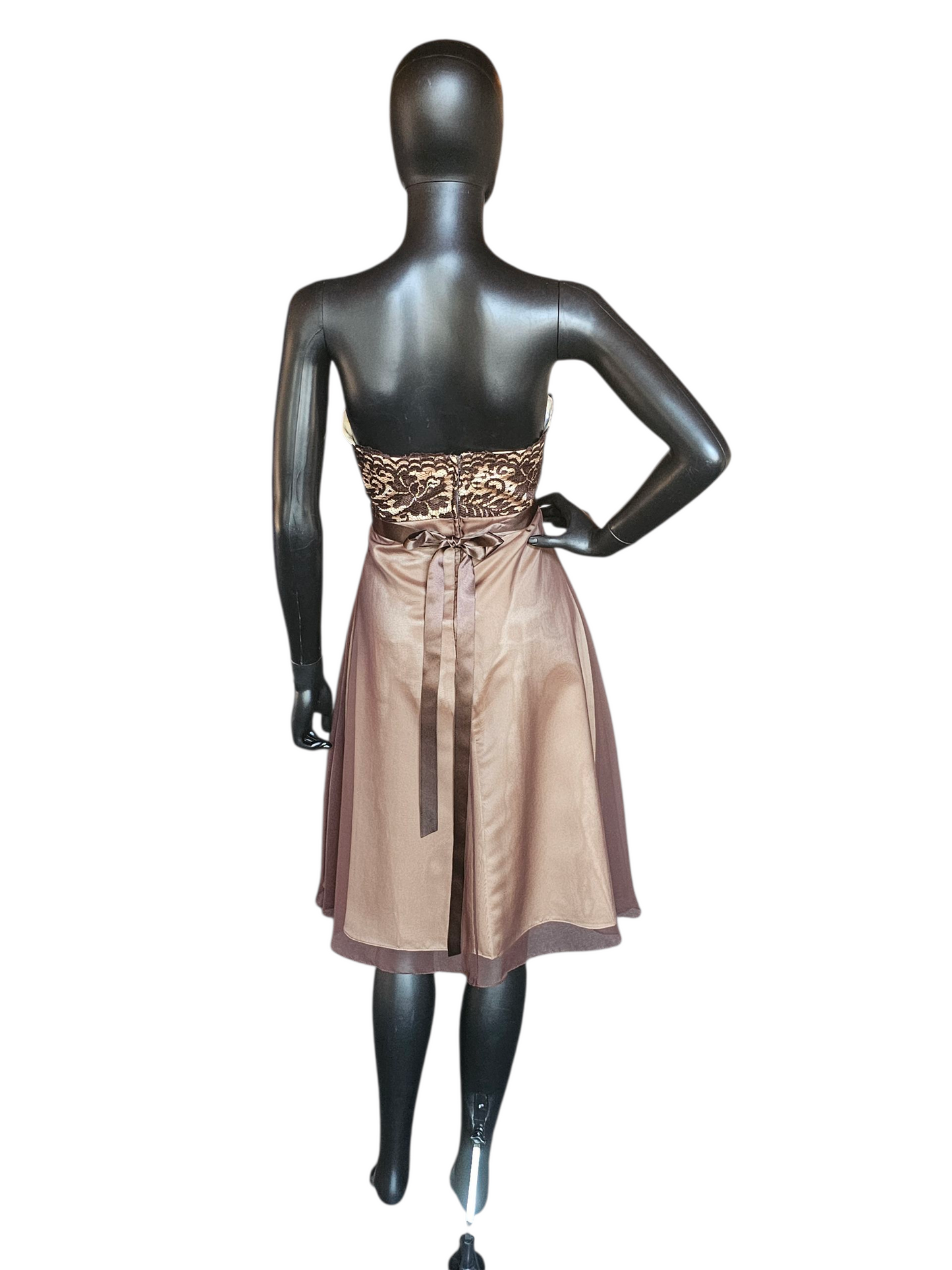 Chocolate/Gold Chiffon & Lace - Da Vinci