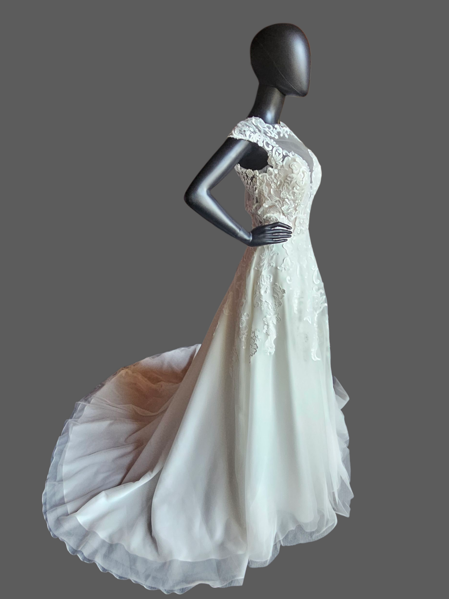 Ivory Illusion Cap Sleeve A-Line Net Wedding Gown - Mori Lee