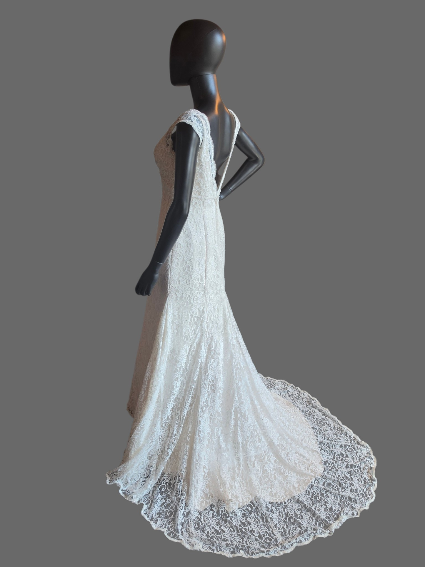 Ivory Lace V-Neck Fit/Flare Wedding Gown - Davids Bridal (NWT)