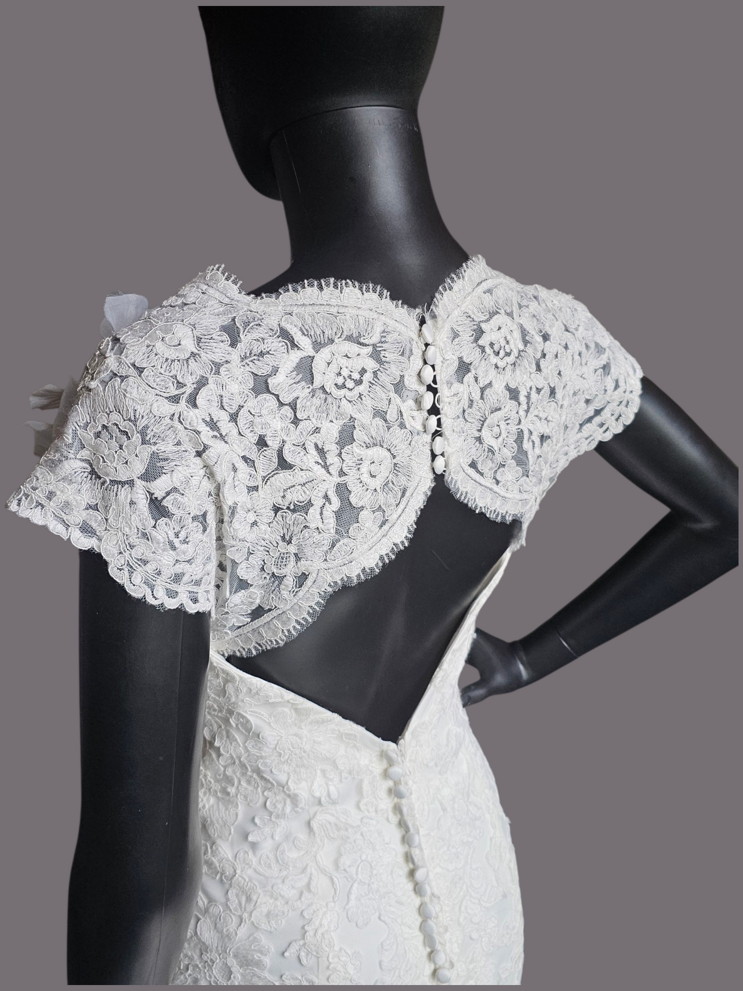 Ivory Full Lace Fit/Flare Wedding Gown - Mori Lee