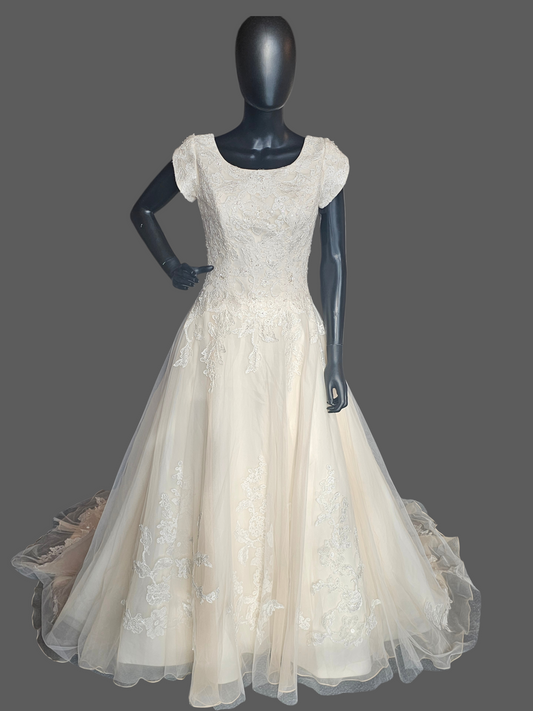 Champagne A-Line Cap Sleeve Floral Embroidered Wedding Gown - Bliss