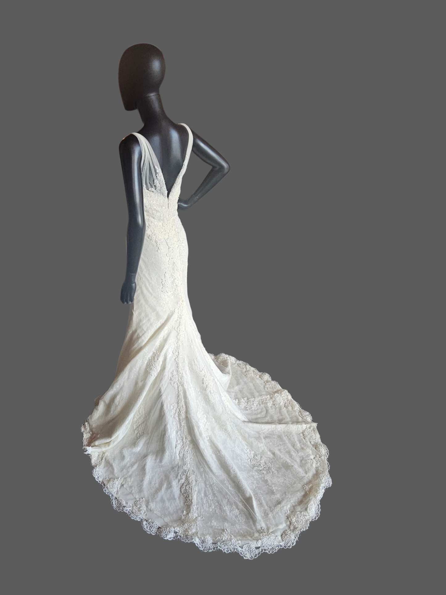 Dark Ivory Lace Fit/Flare V-Neck Wedding Gown - Pronovias