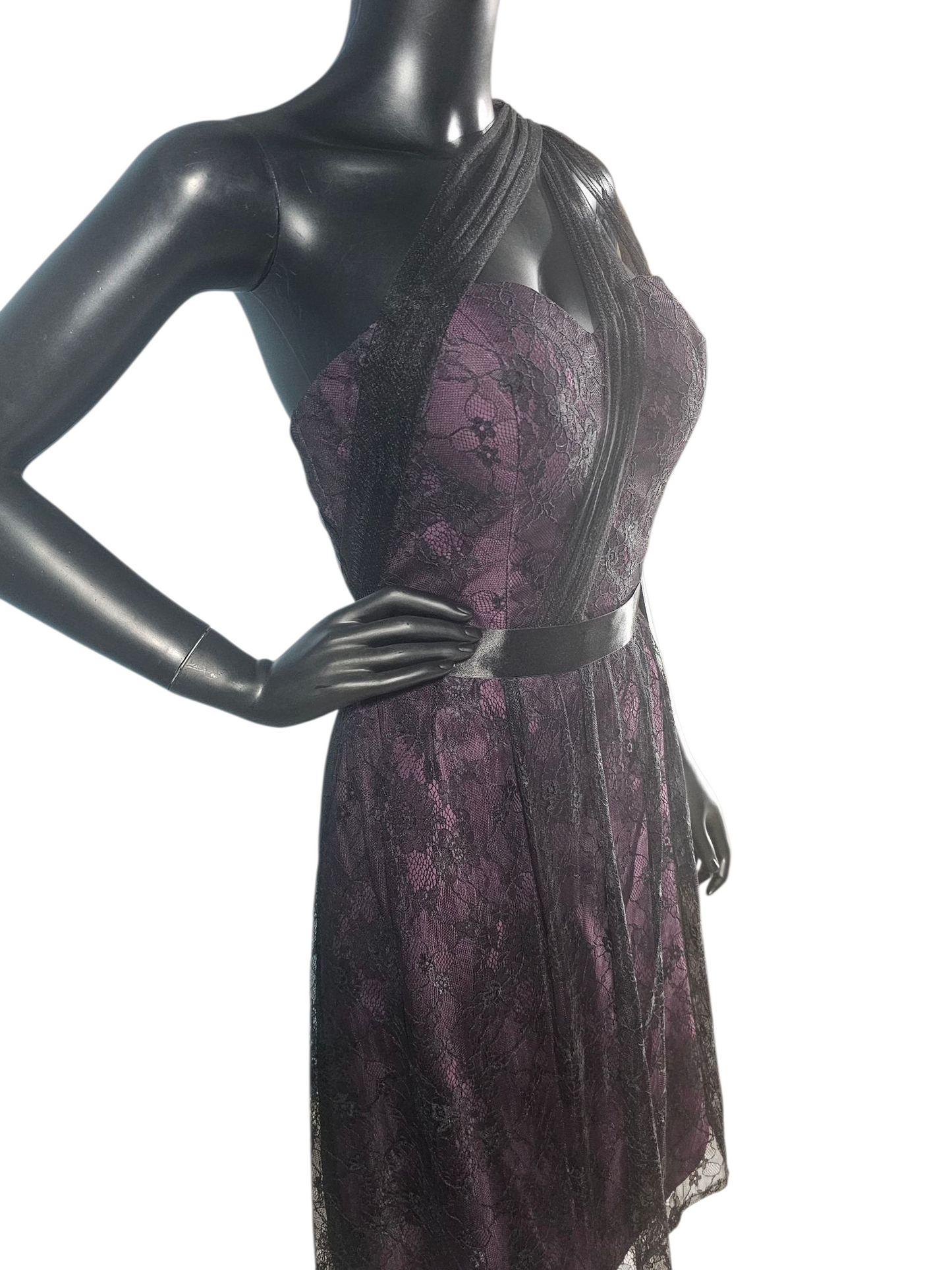 Aubergine/Black Lace One Shoulder Cocktail Dress - Da Vinci