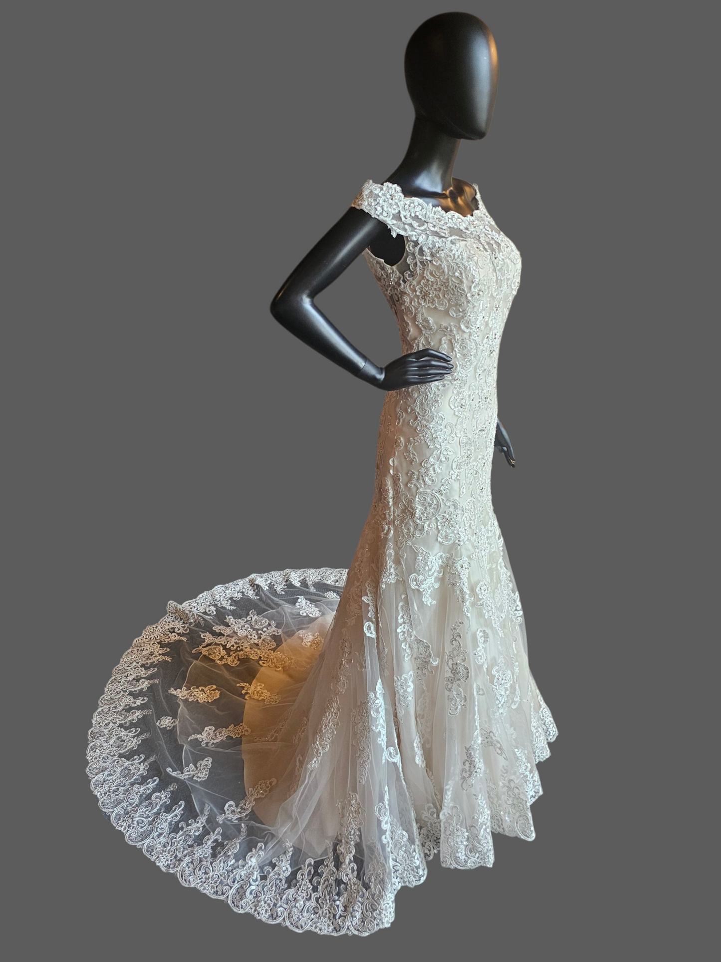 Ivory/Champagne Off Shoulder Fit and Flare Sparkle Illusion Wedding Gown